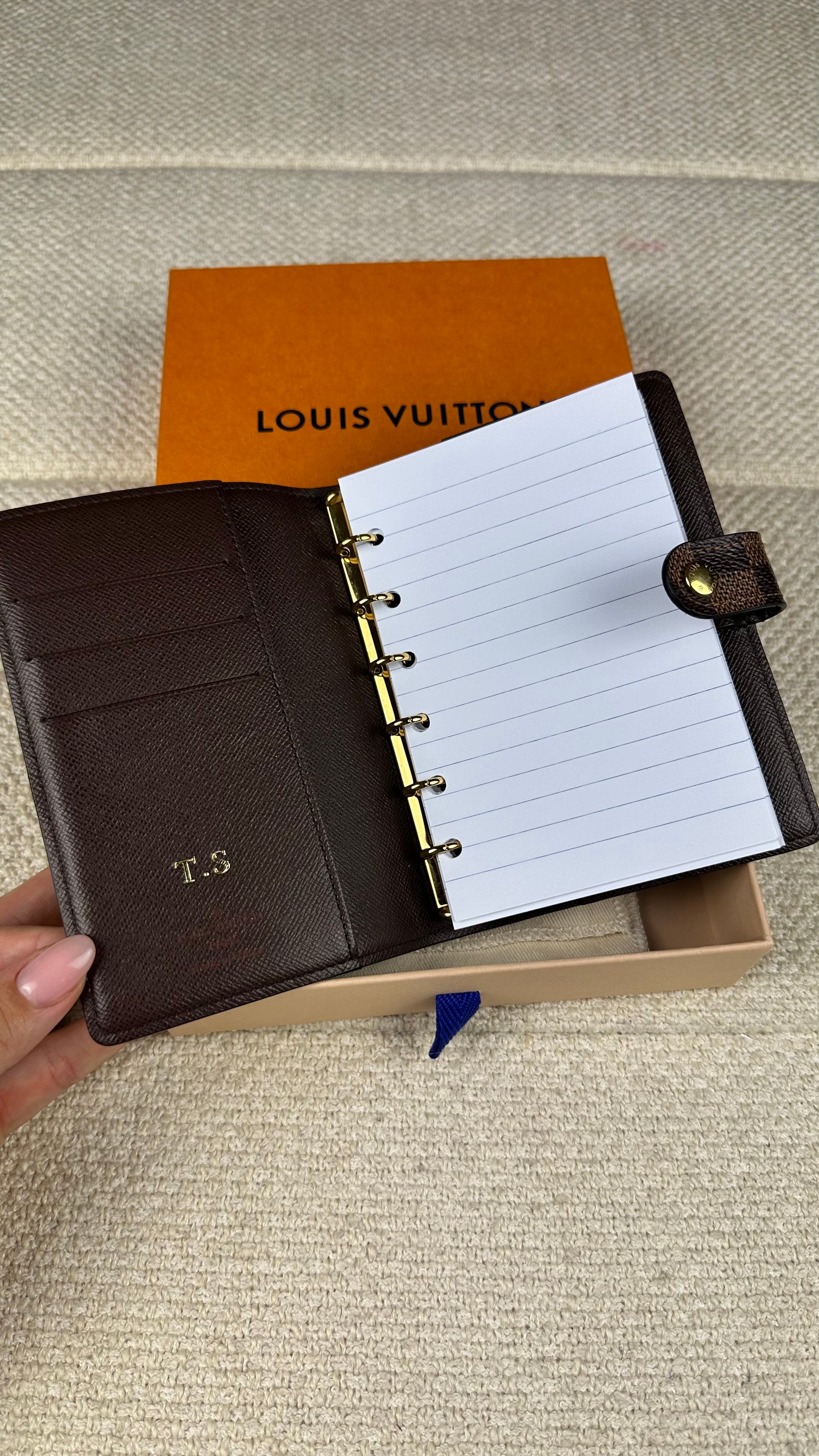 Louis Vuitton Capa Agena PM