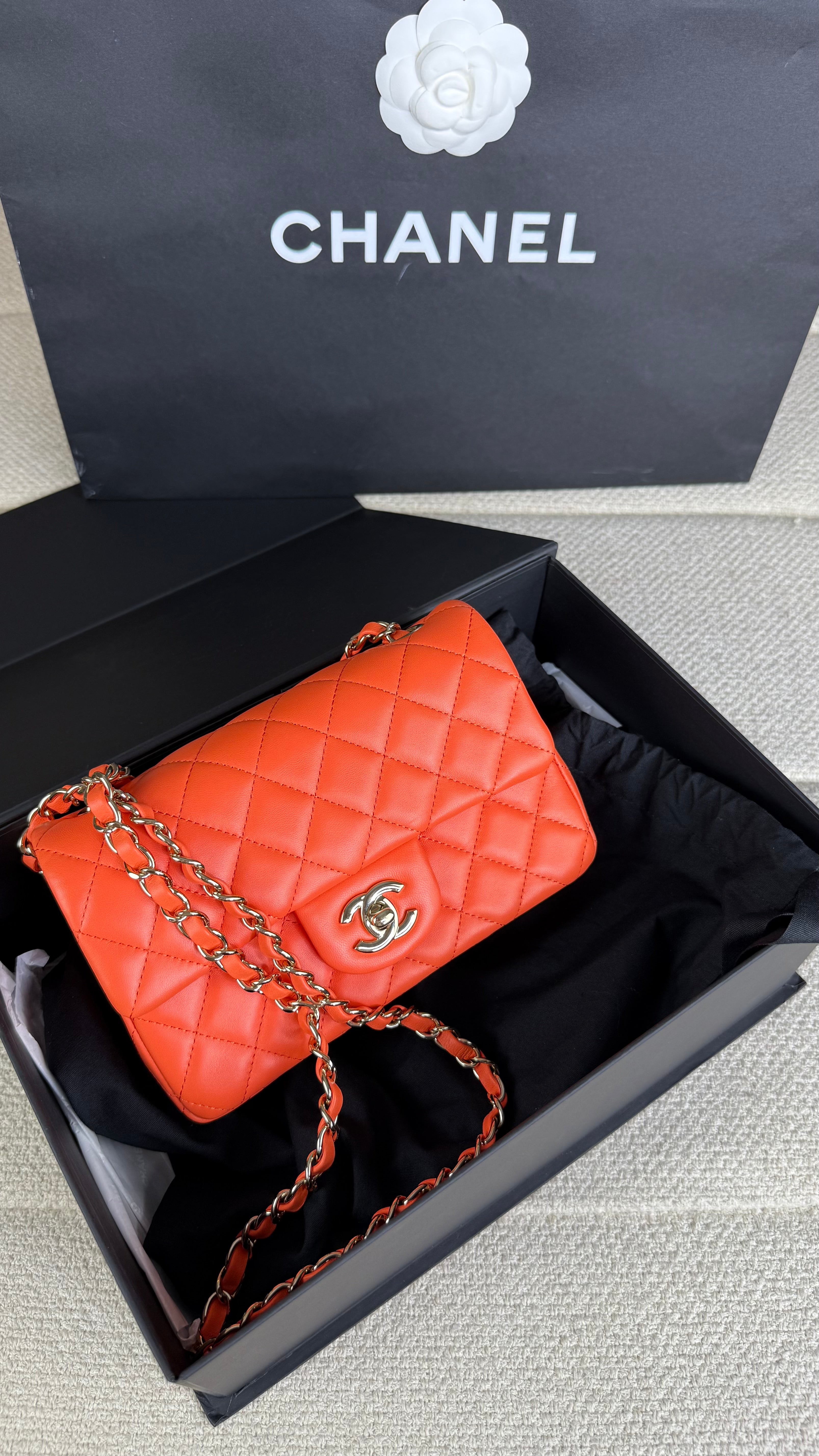 Chanel Mini Single Flap