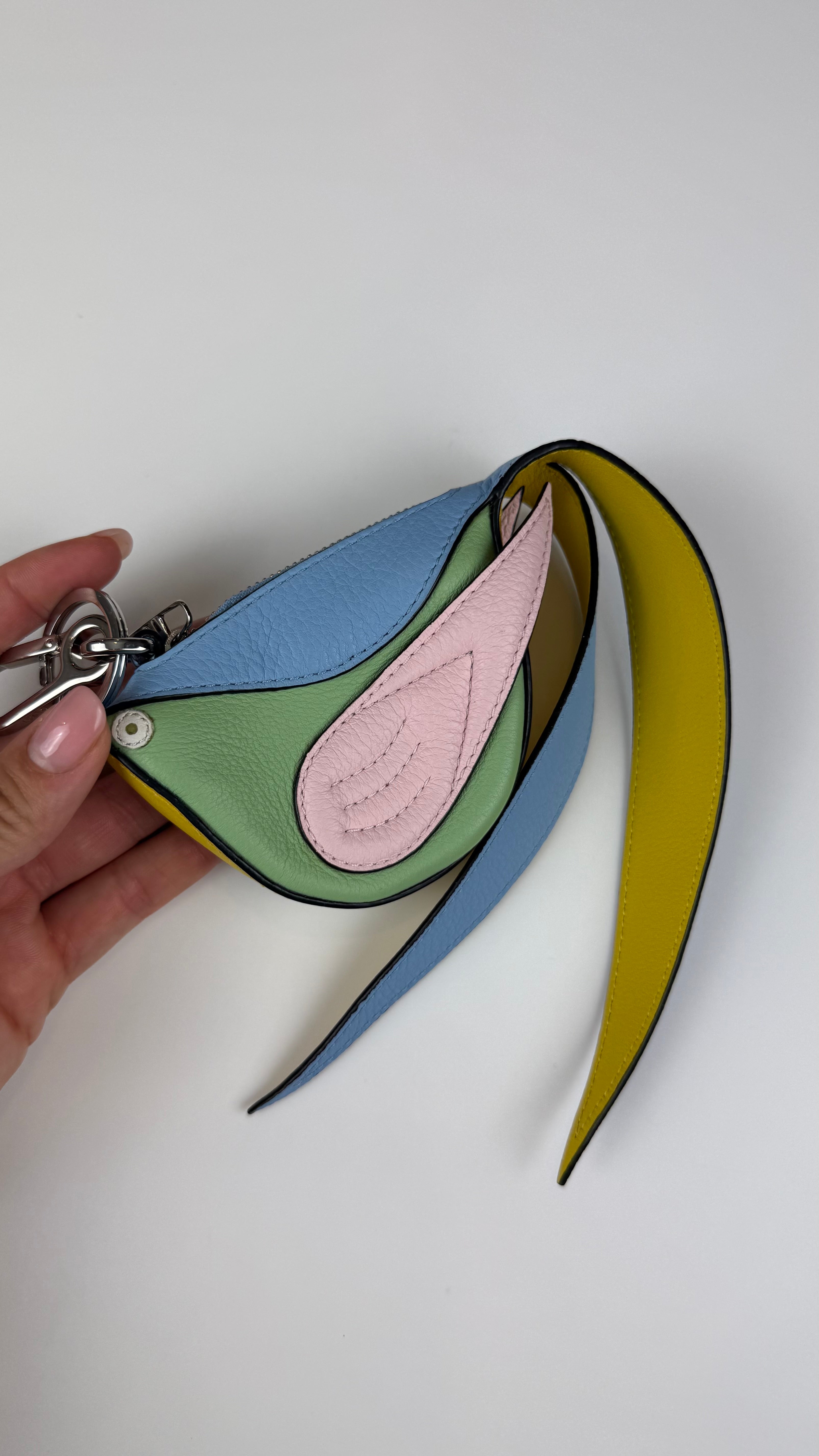 Loewe Pouch