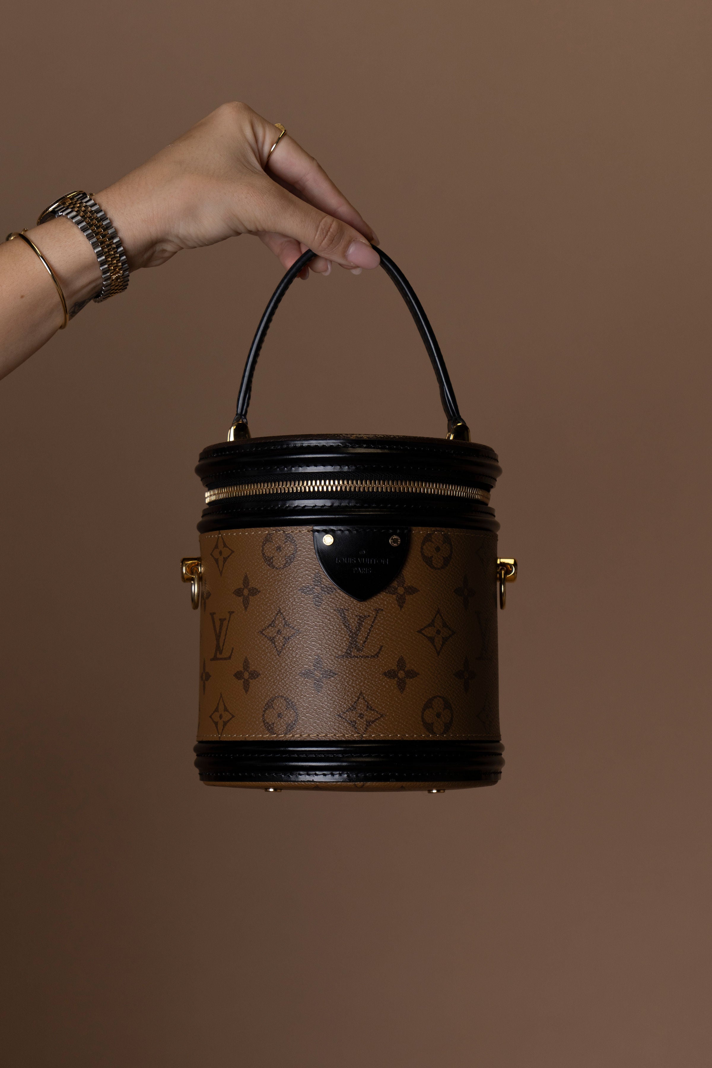 Louis Vuitton Cannes Bag