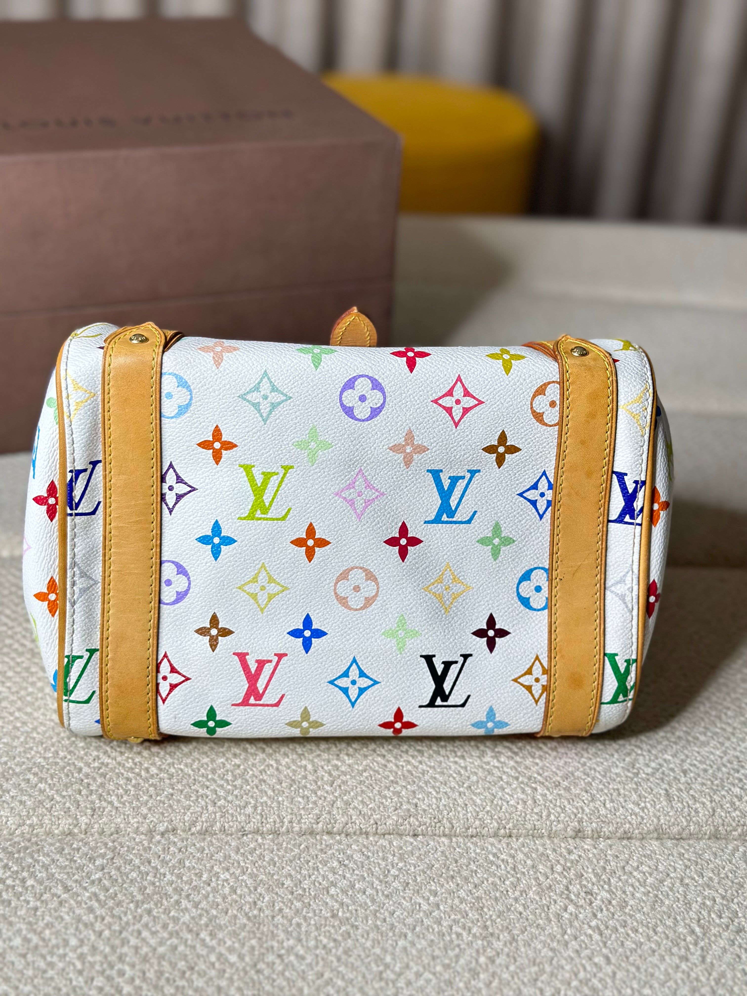 Louis Vuitton Multicolor