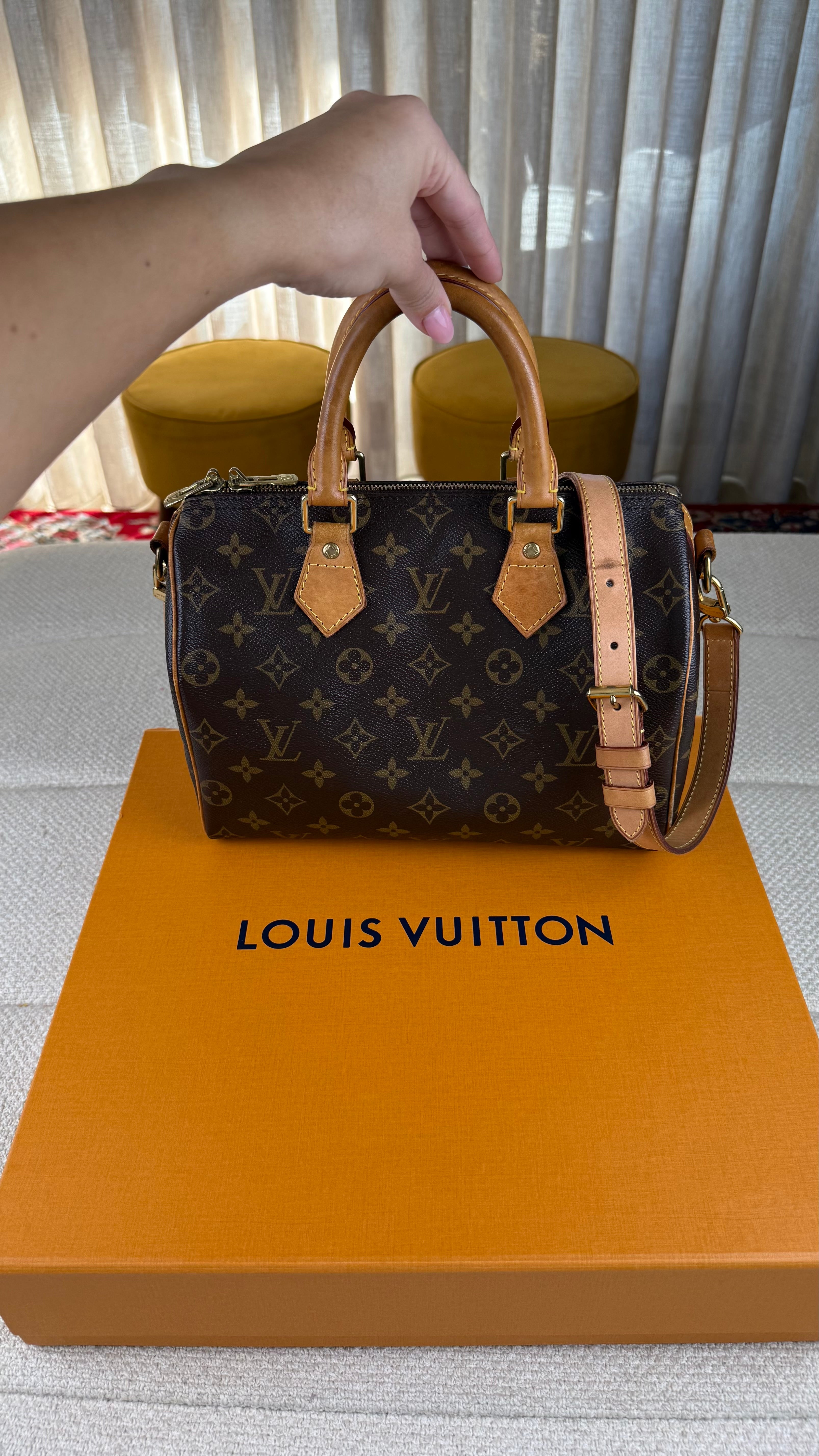 Louis Vuitton Speedy