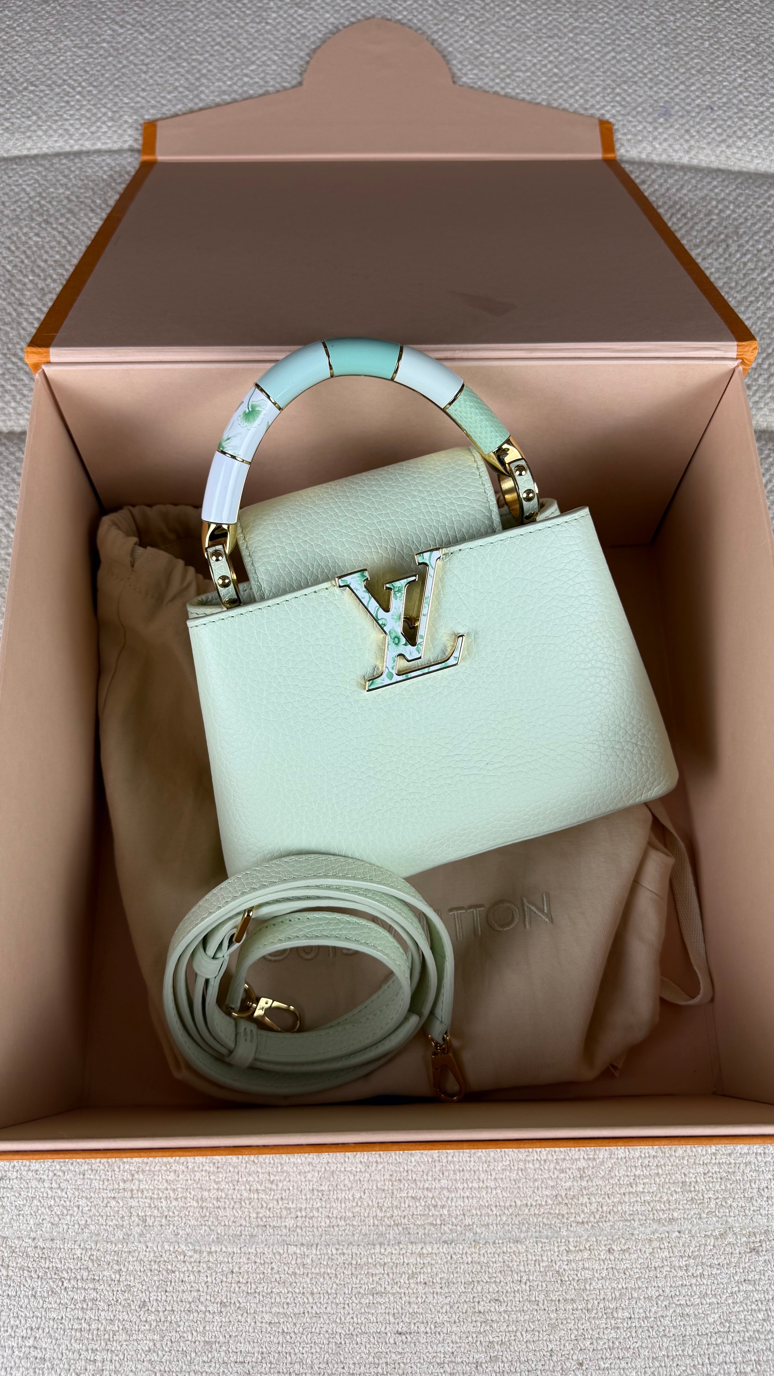 Louis Vuitton Capucines Mini