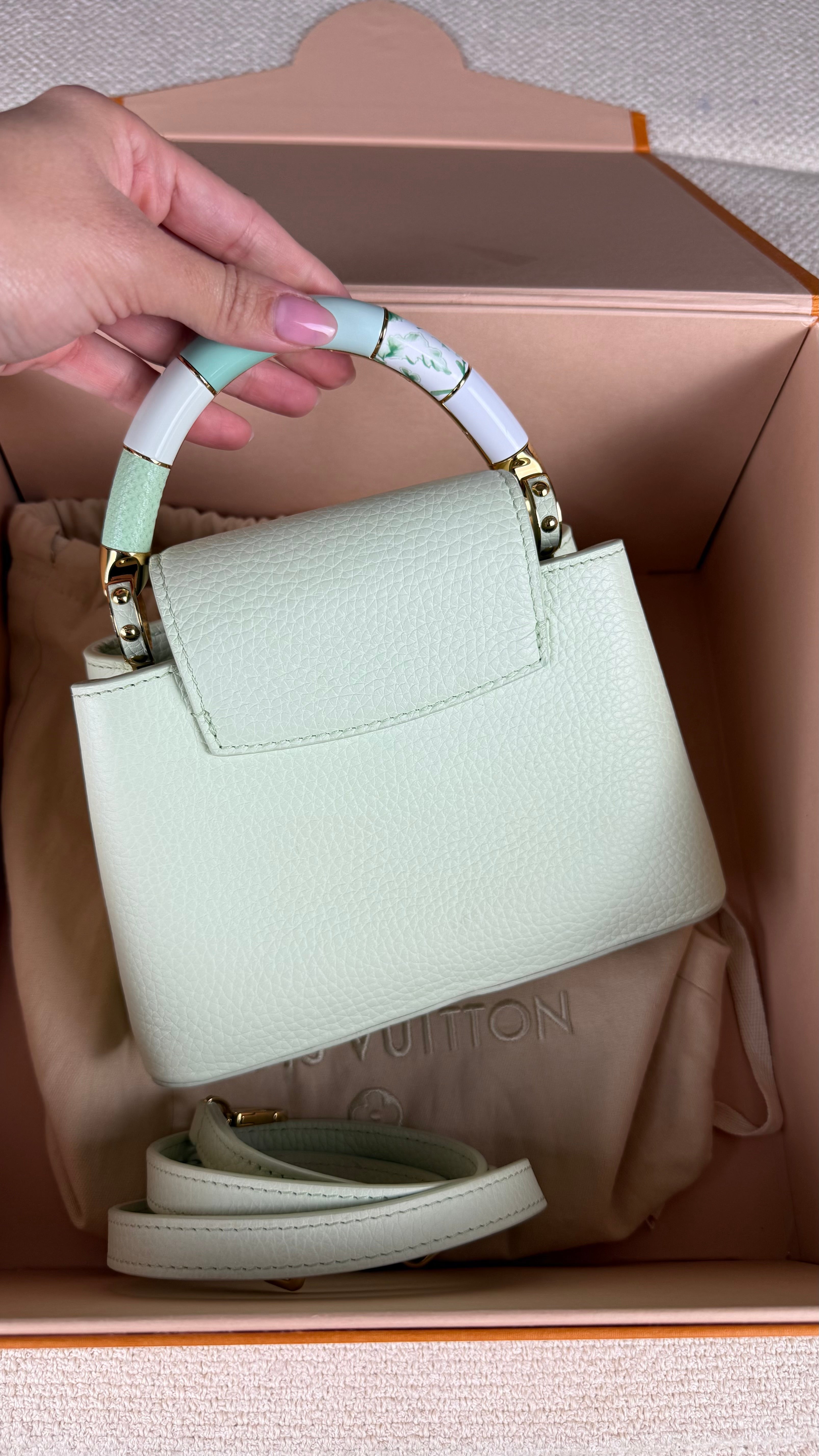 Louis Vuitton Capucines Mini