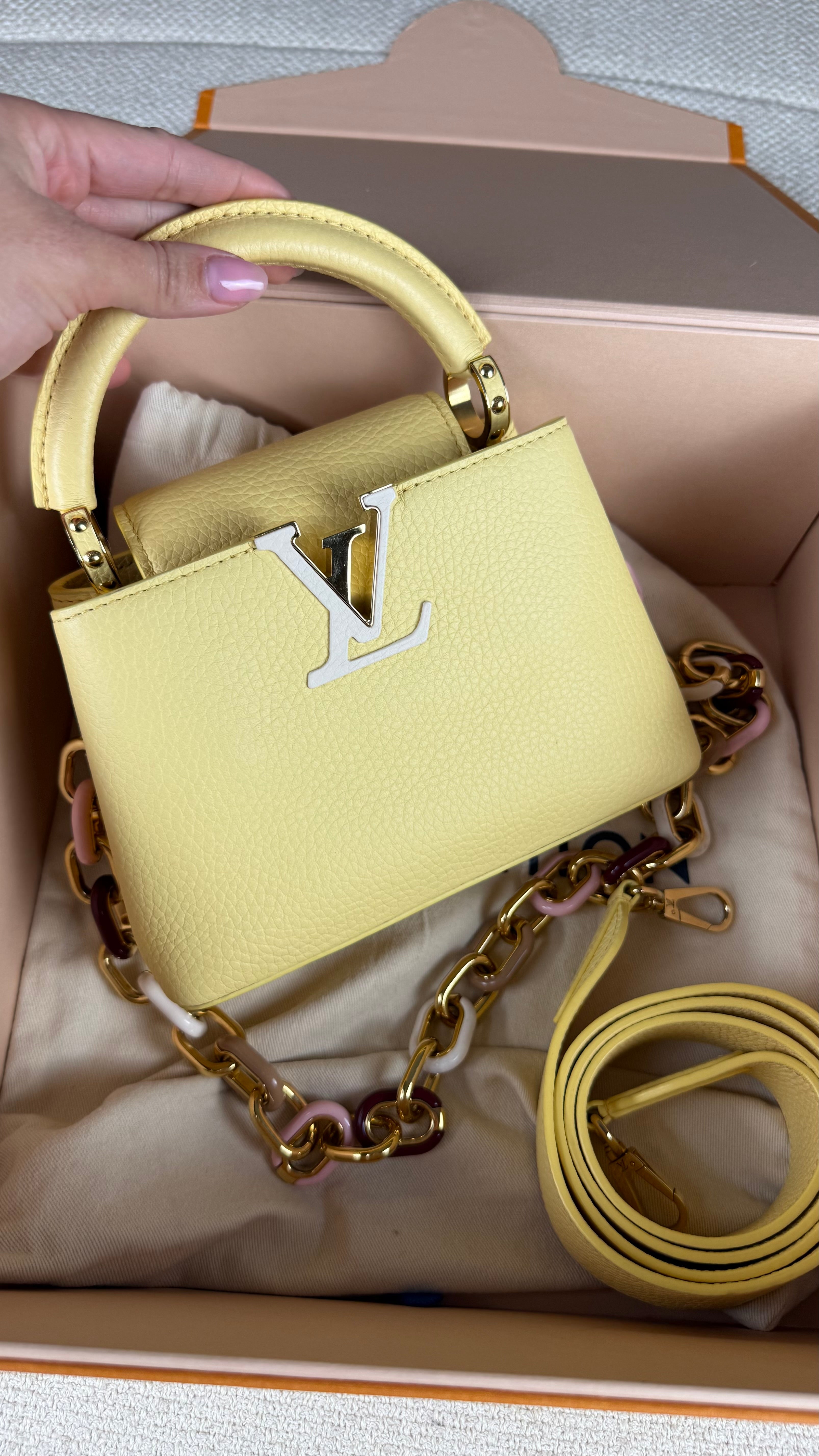 Louis Vuitton Capucines Mini