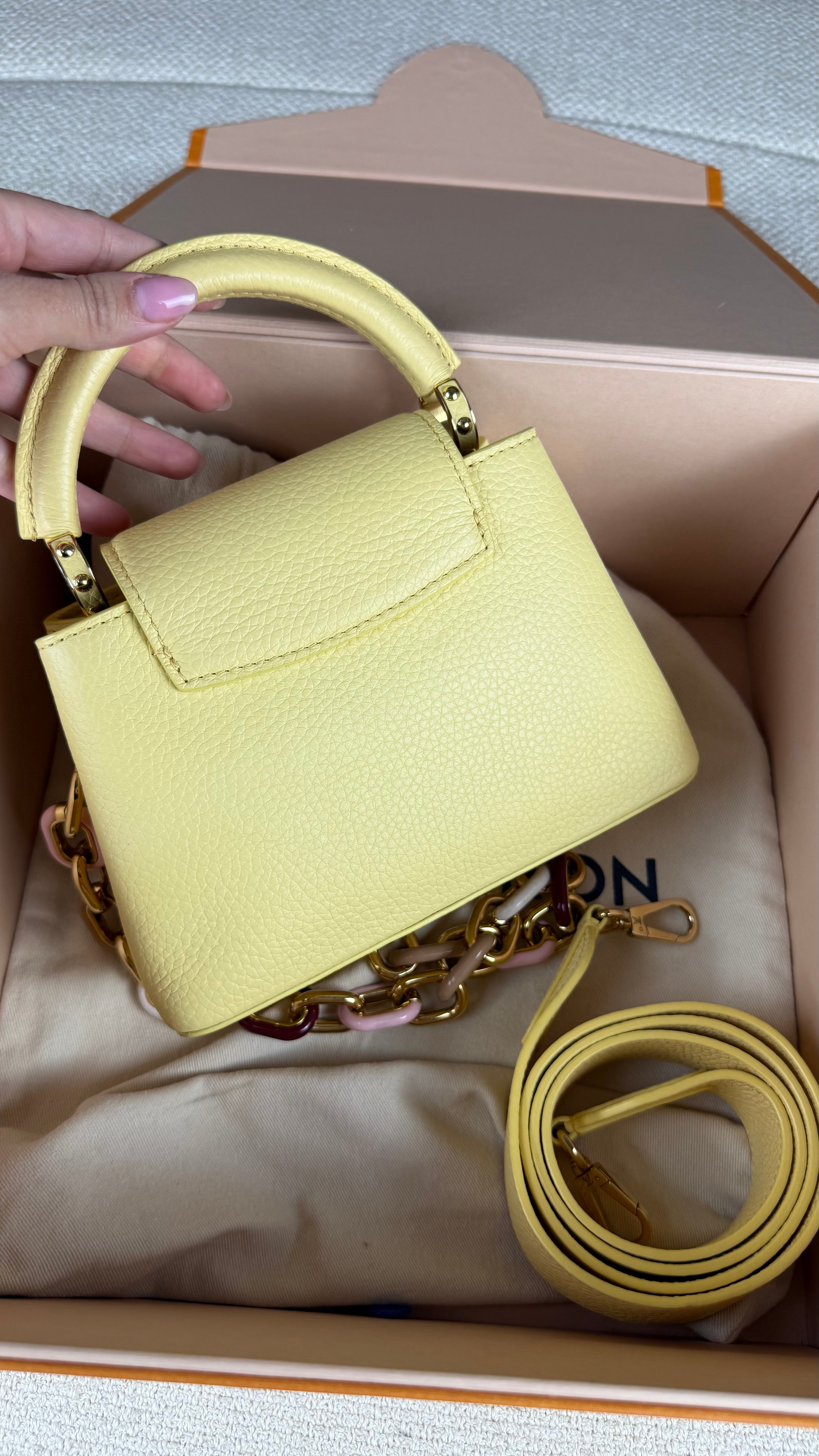 Louis Vuitton Capucines Mini