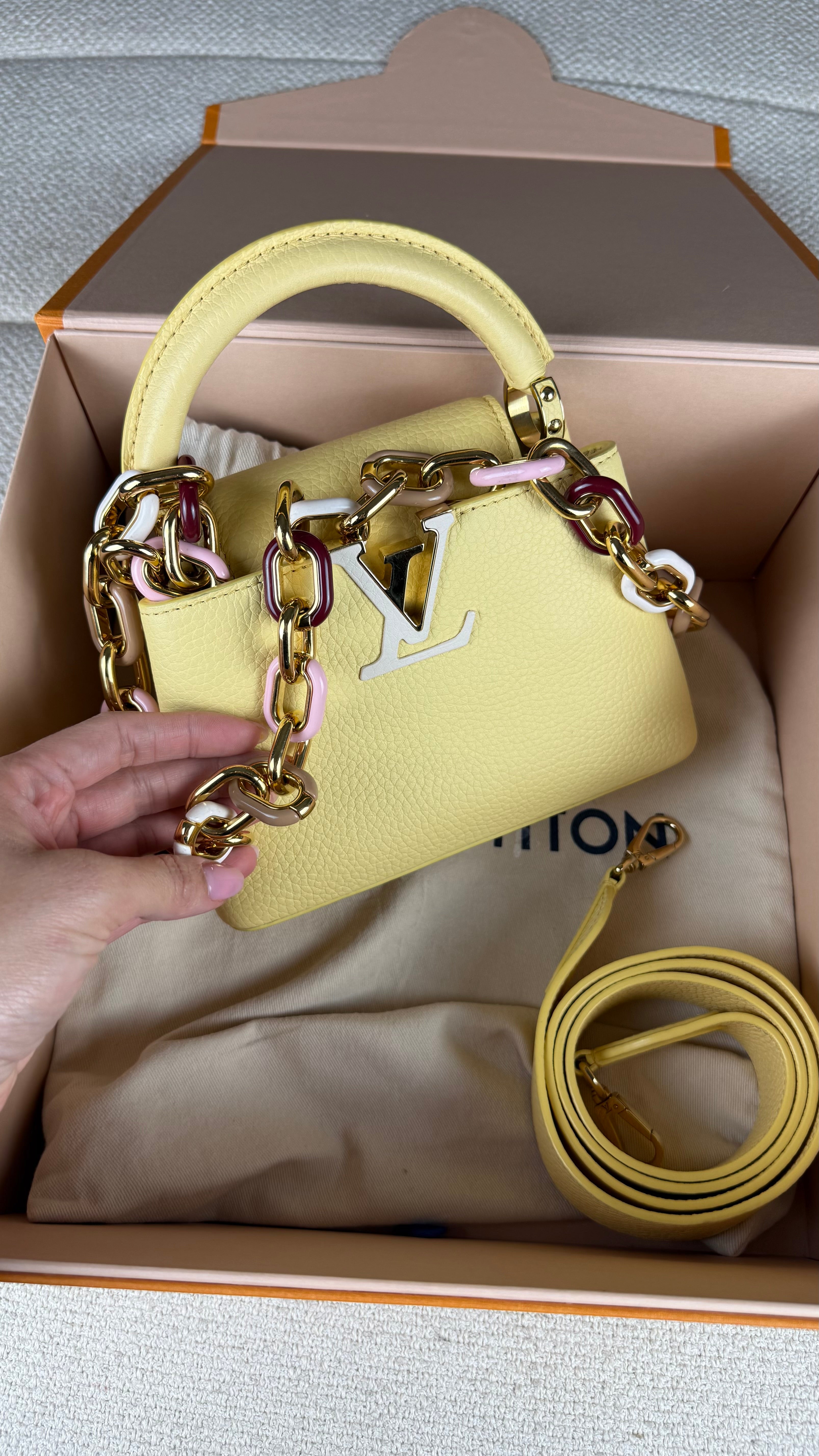 Louis Vuitton Capucines Mini