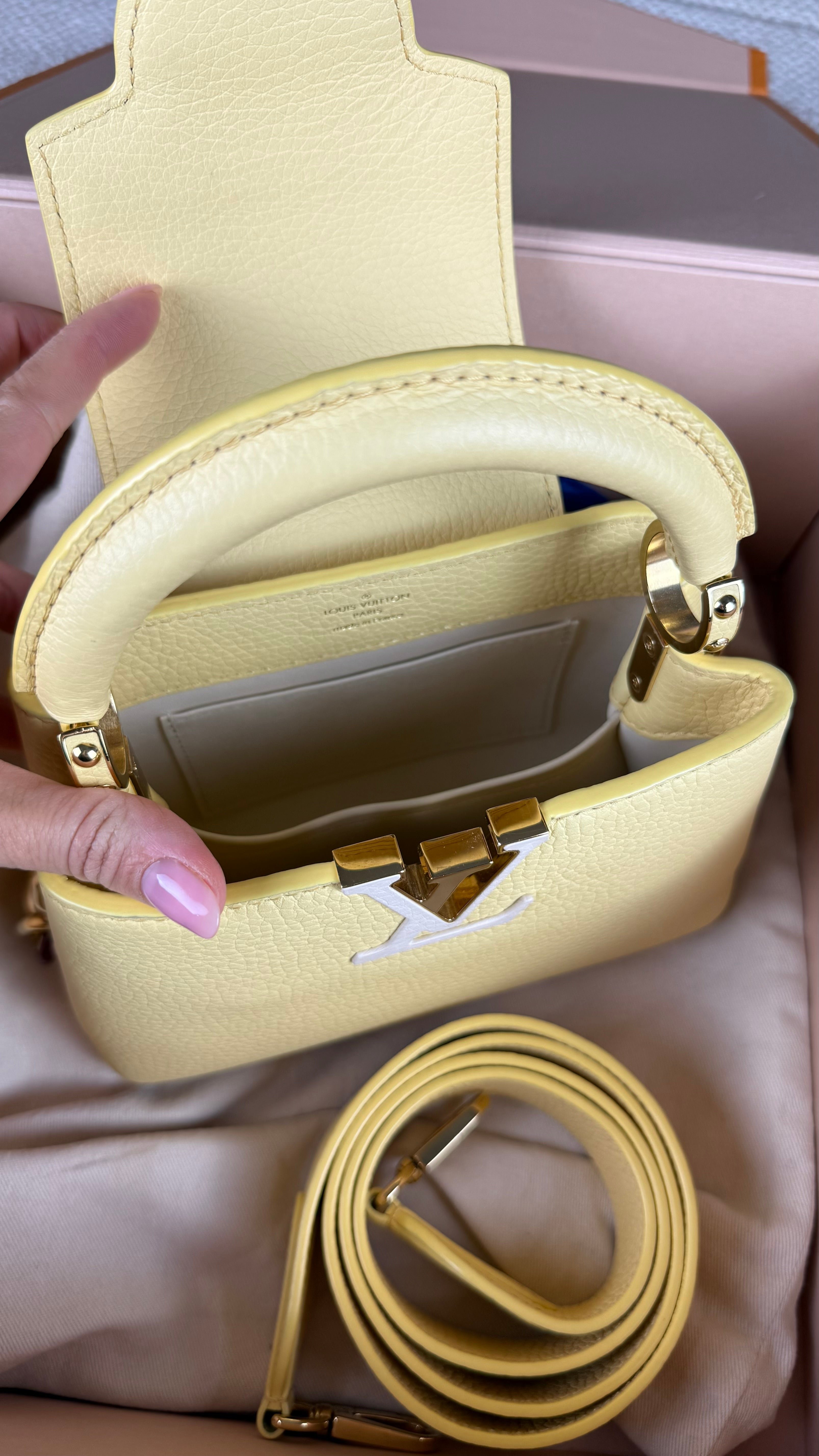 Louis Vuitton Capucines Mini