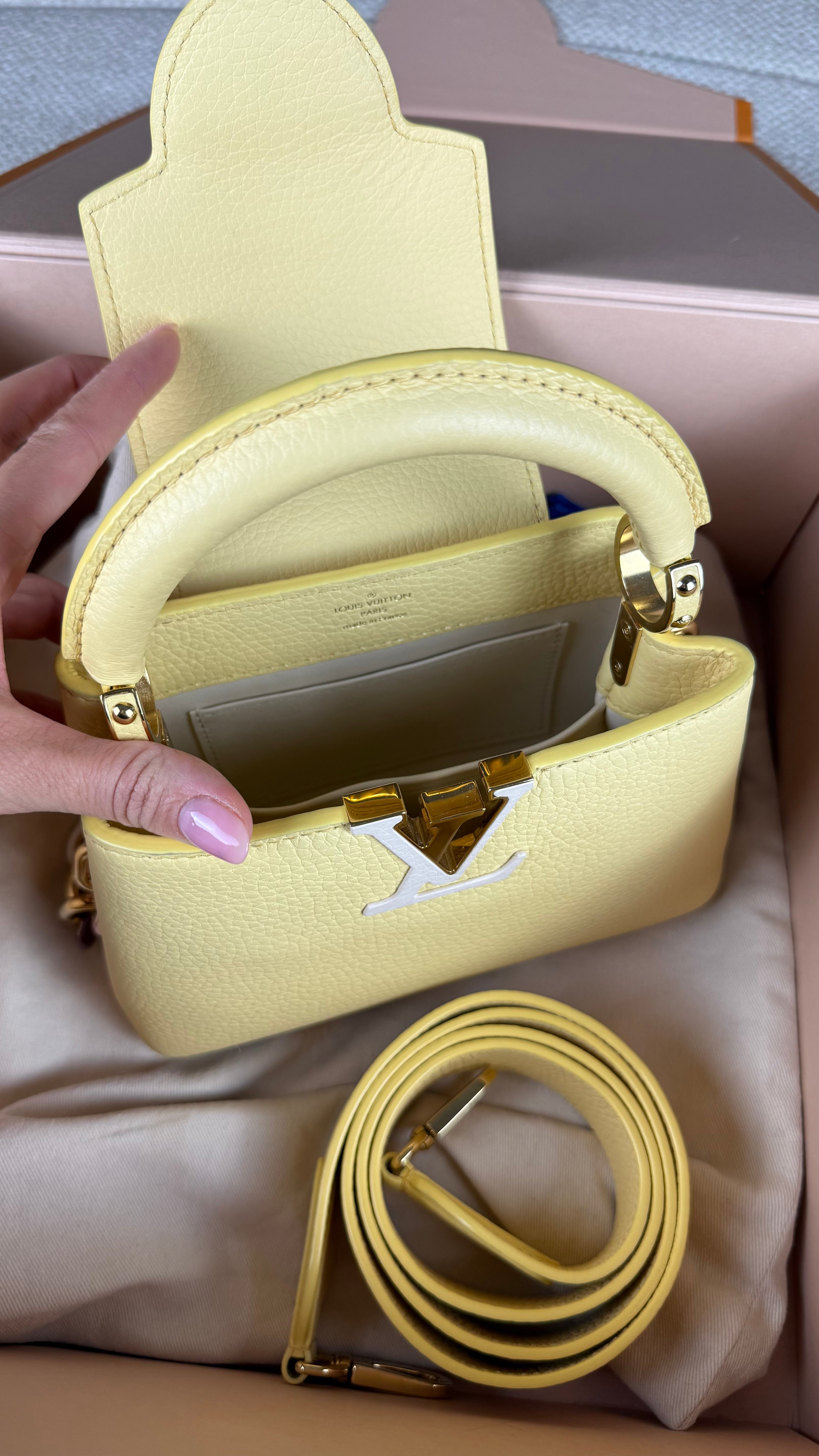 Louis Vuitton Capucines Mini