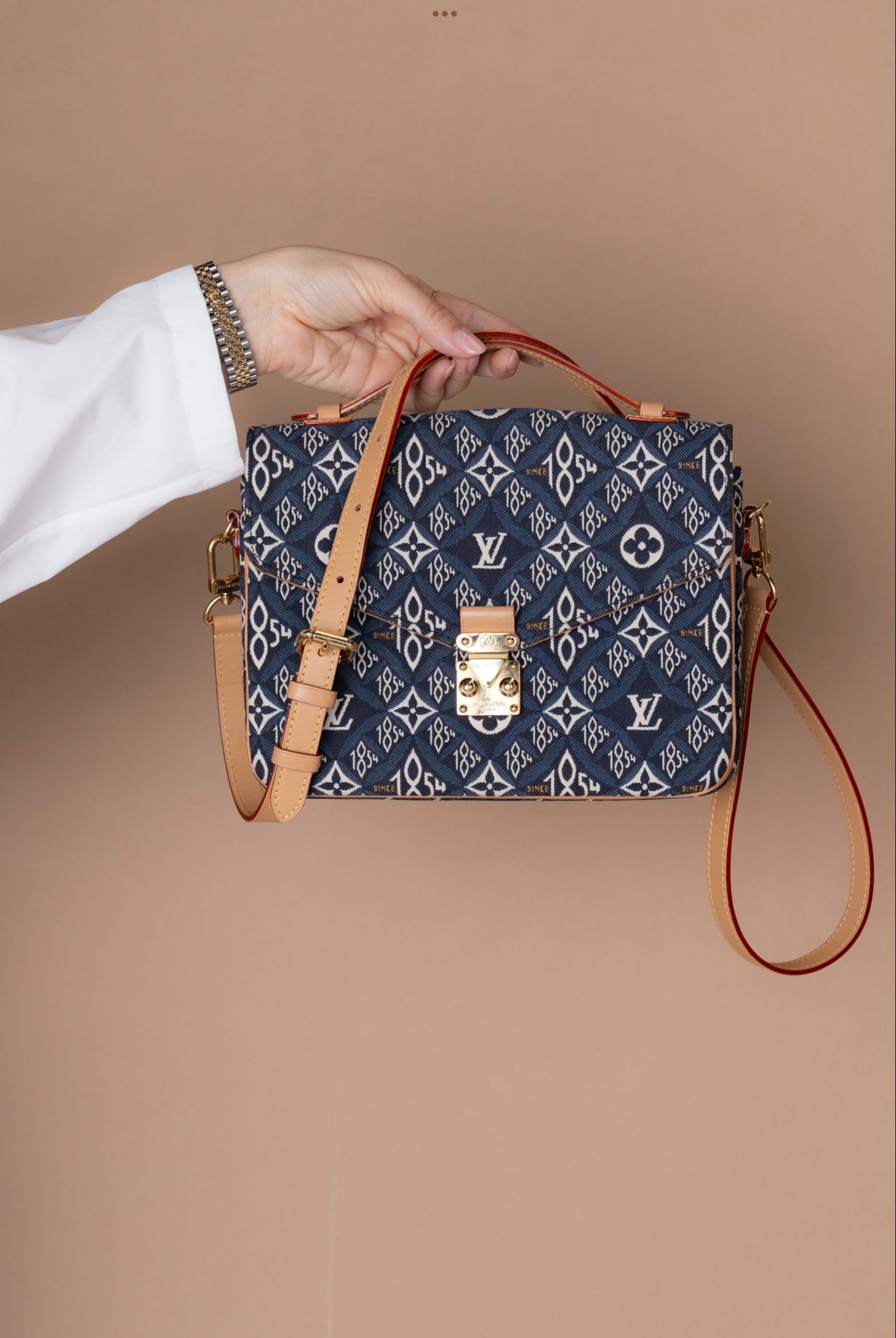 Louis Vuitton Metis