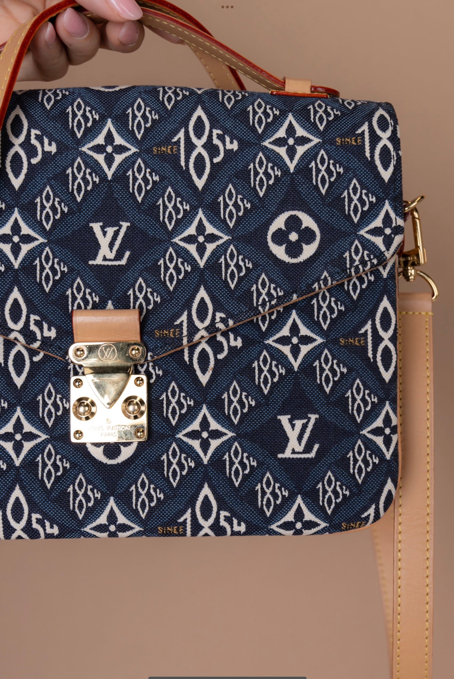 Louis Vuitton Metis