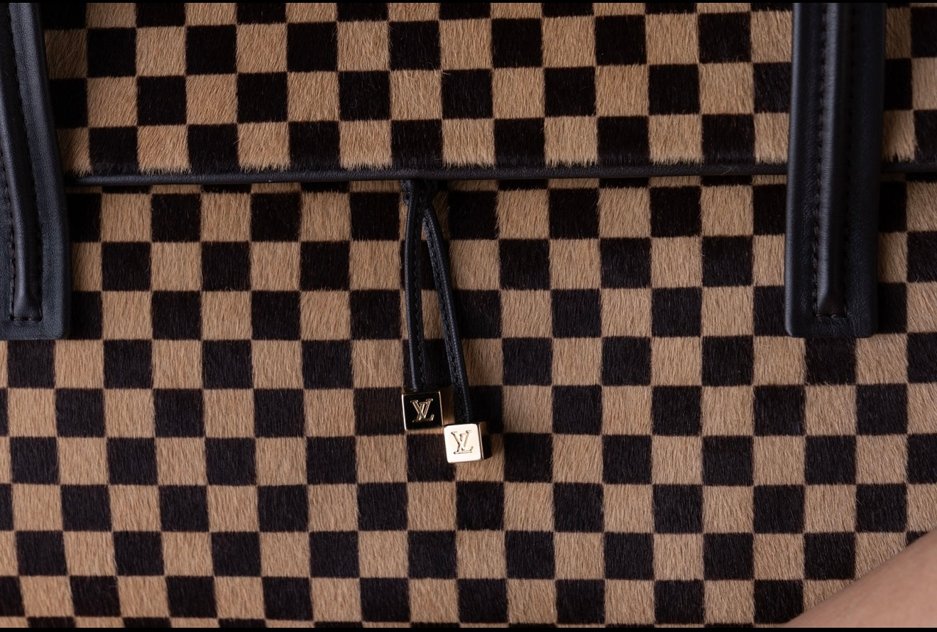 Louis Vuitton Damier