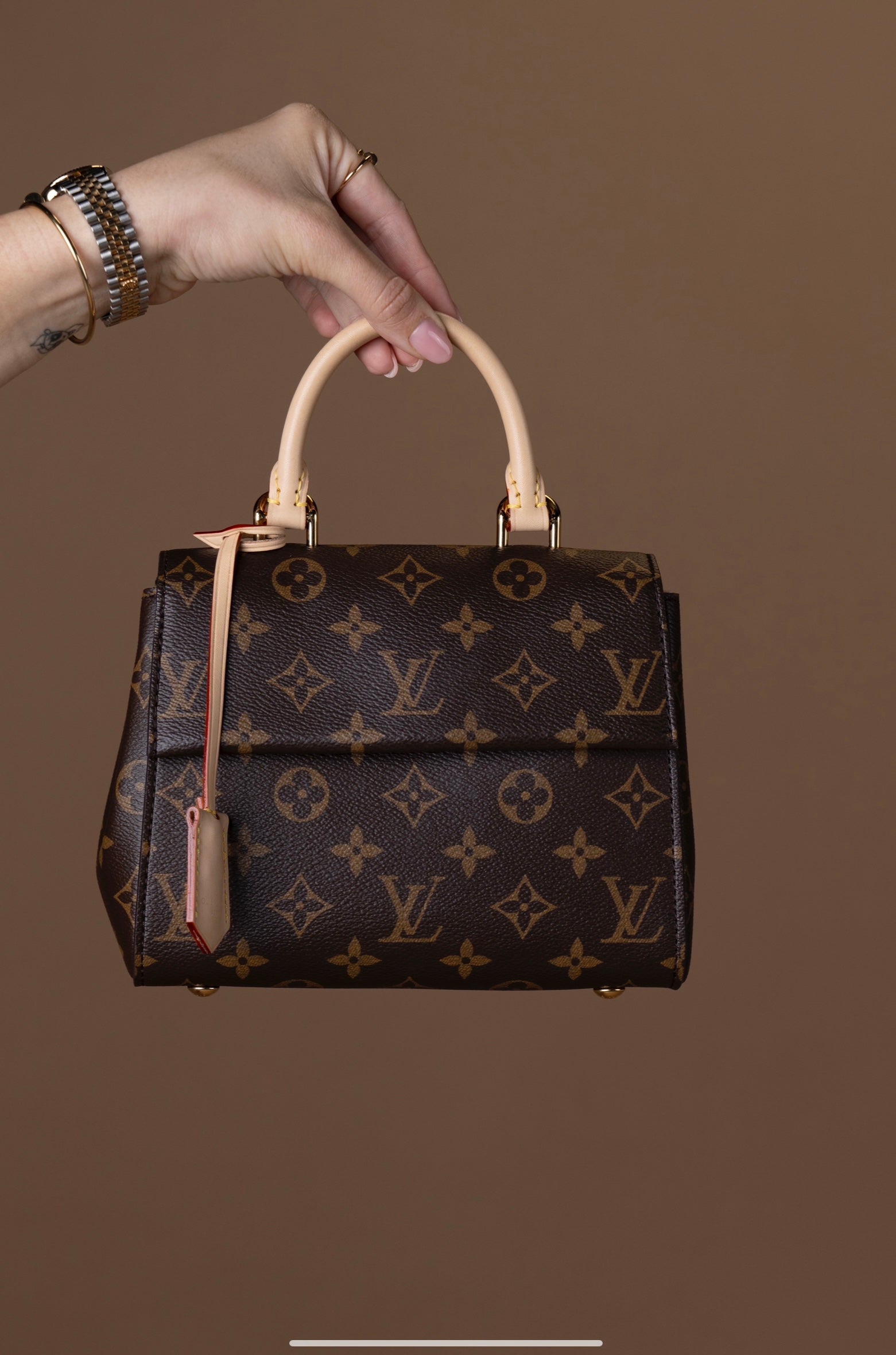 Louis Vuitton Cluny Mini