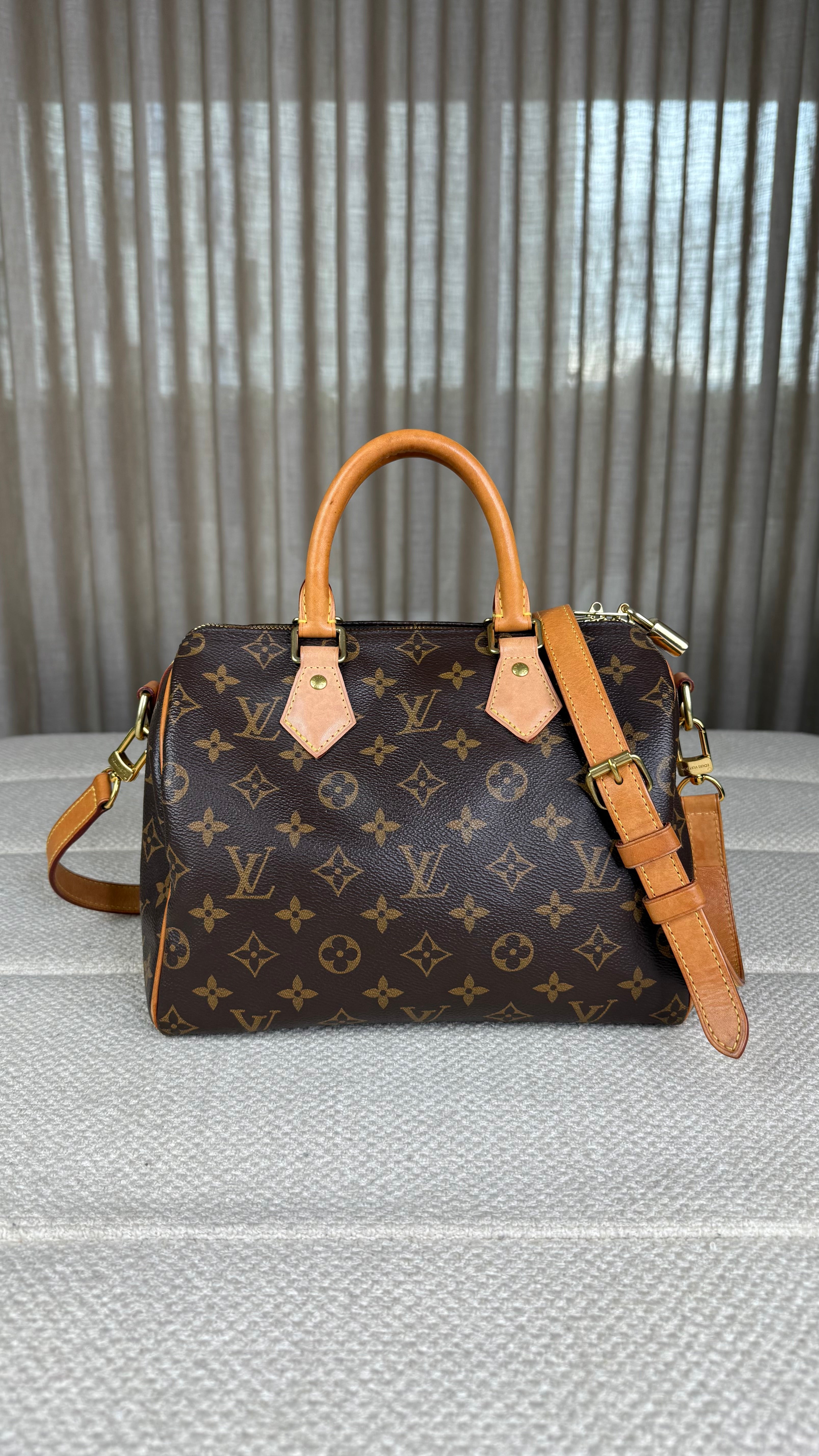 Louis Vuitton Speedy 25