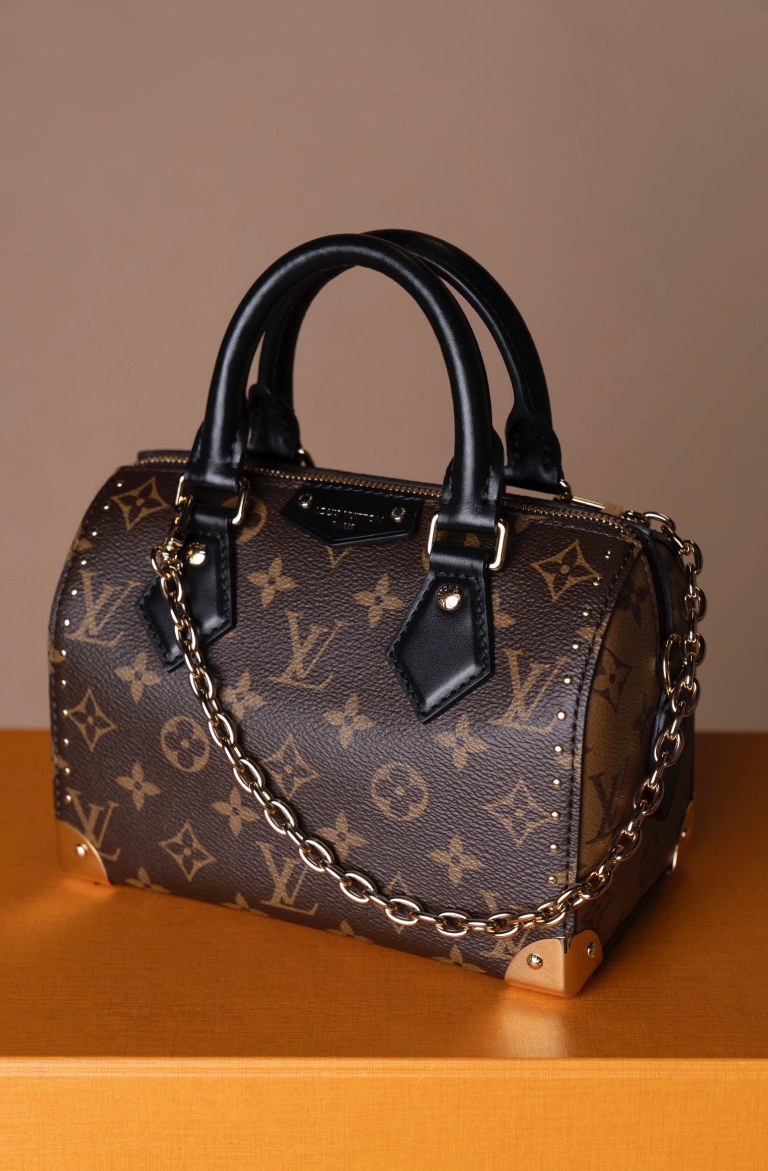 Louis Vuitton Speedy 20 Trunk