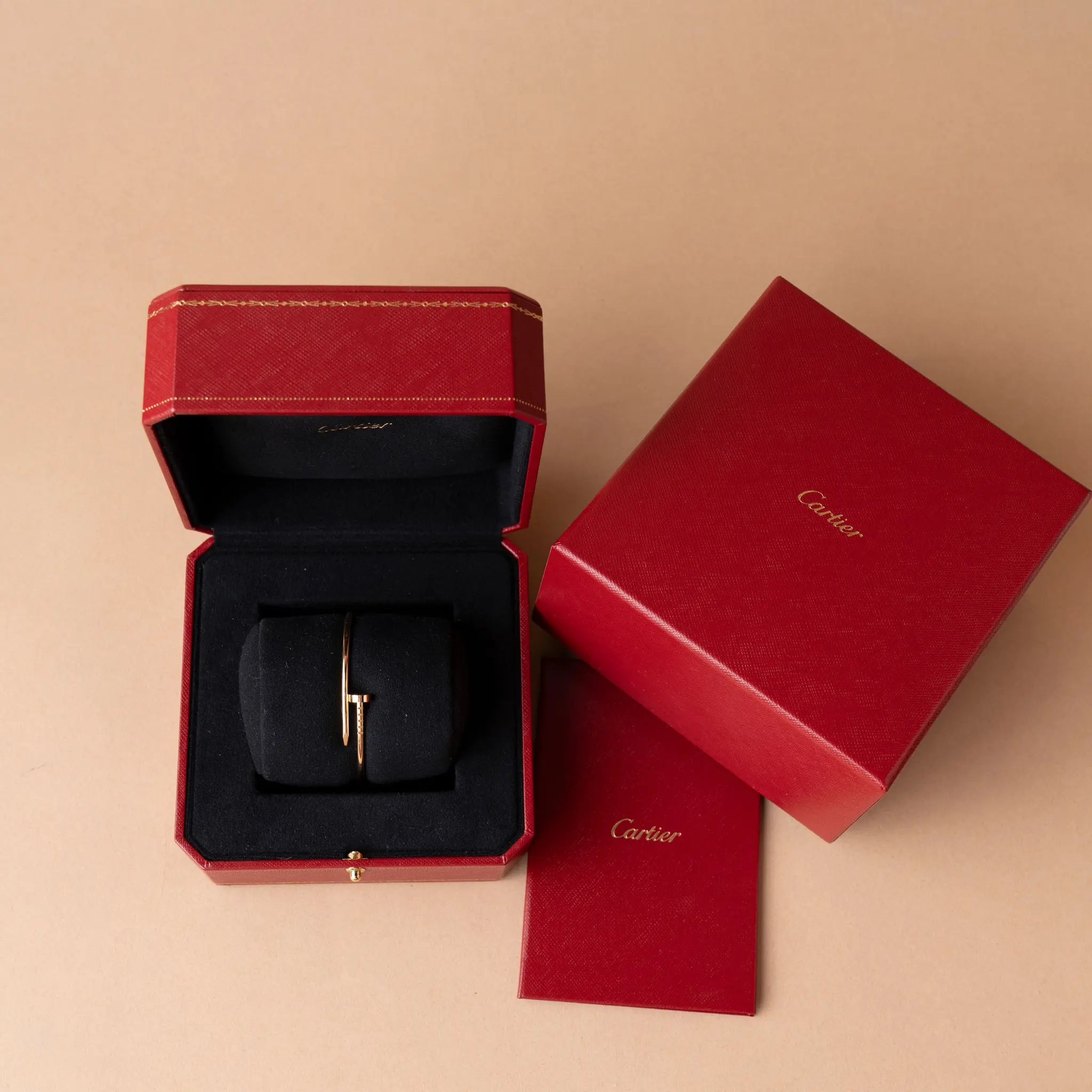 Cartier Just Un Clou Pulseira — Back View