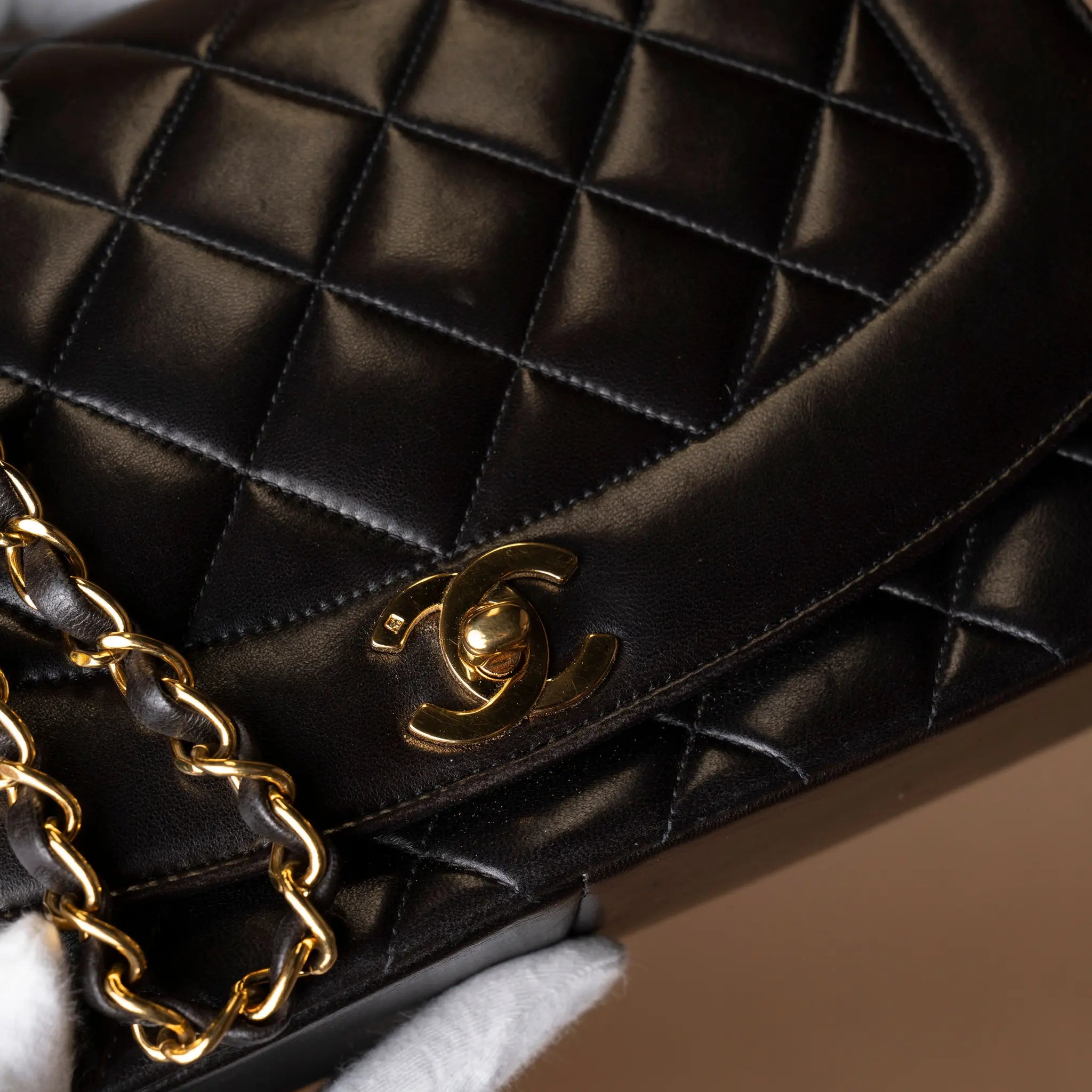 Chanel Medium Lambskin Diana Flap — Side Profile