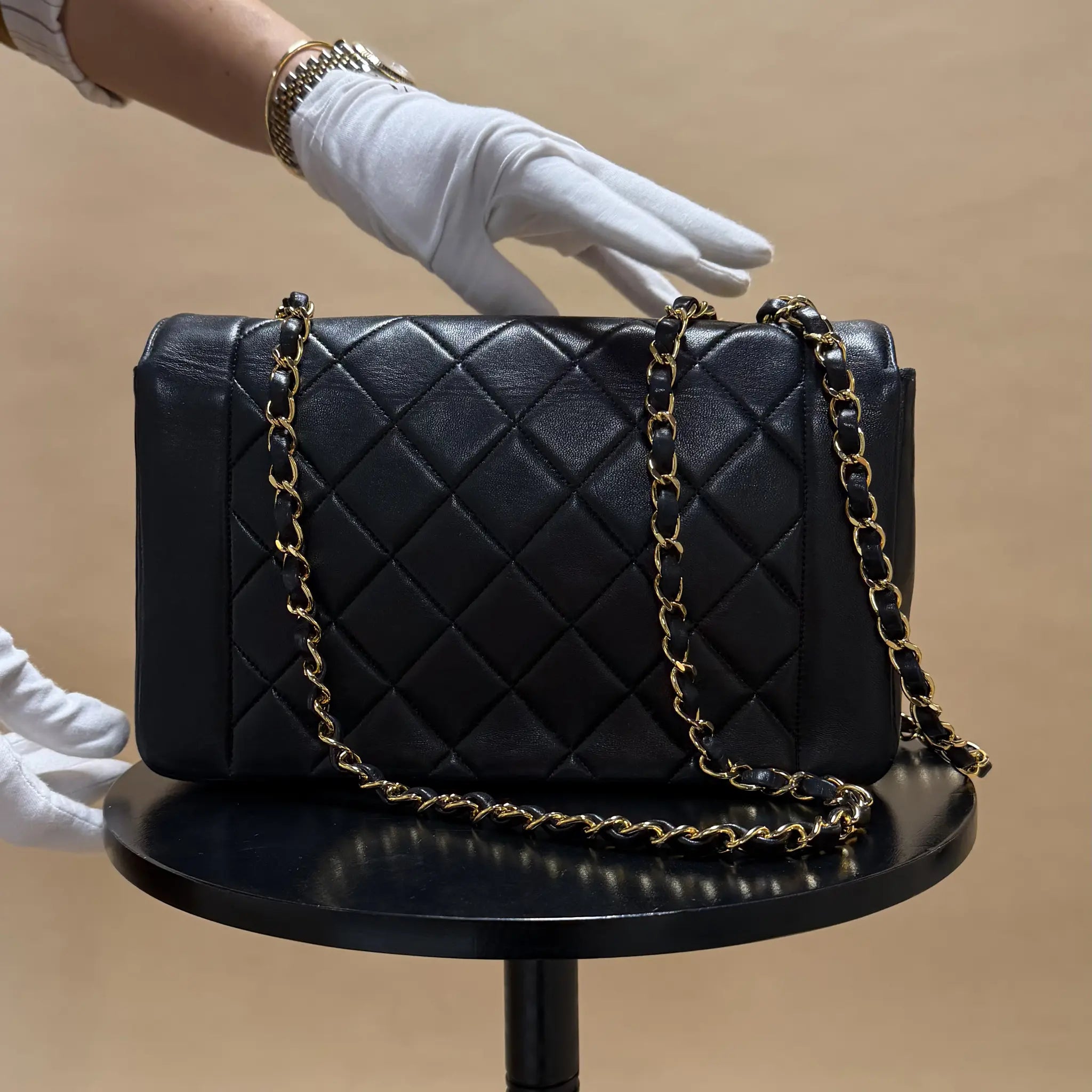 Chanel Medium Lambskin Diana Flap — Side Profile
