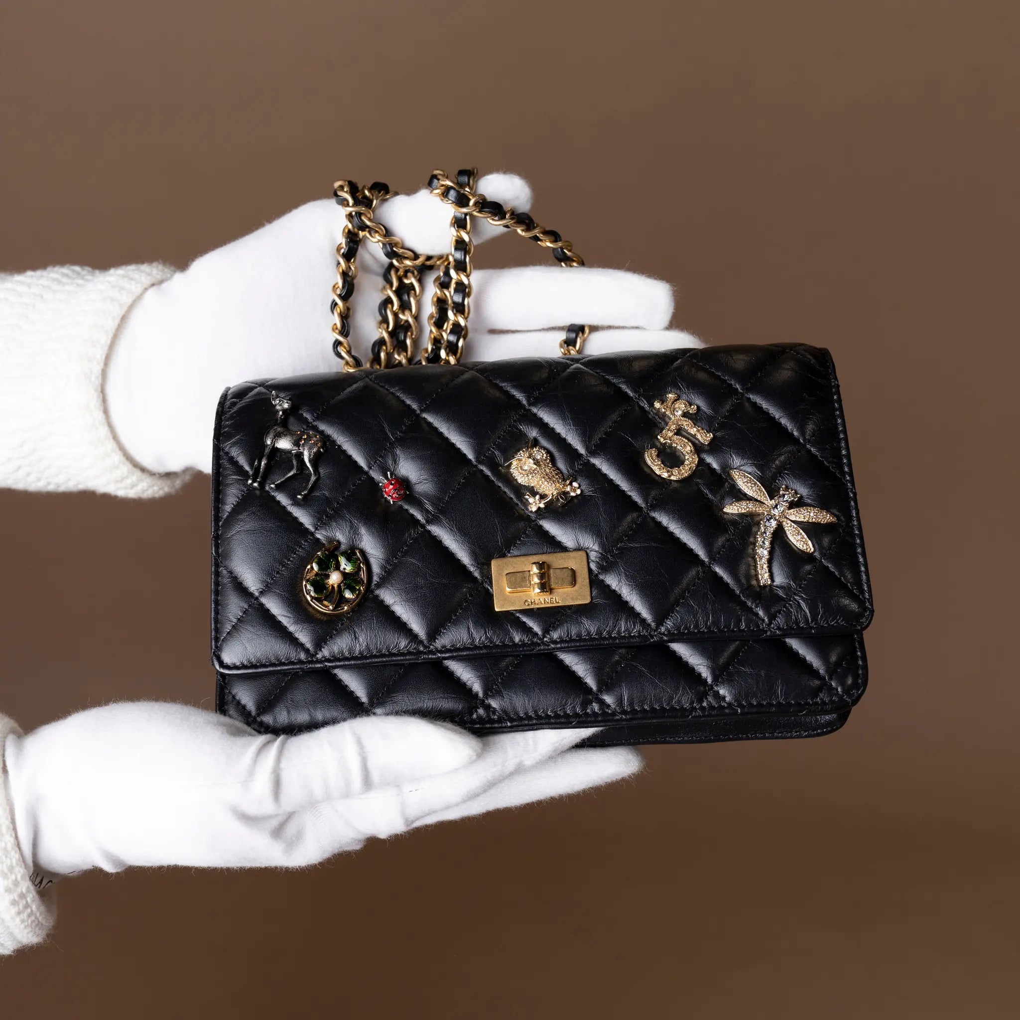 Chanel Quilted Aged Calfskin Reissue 2.55 Lucky Charms WOC — Close-up Detail