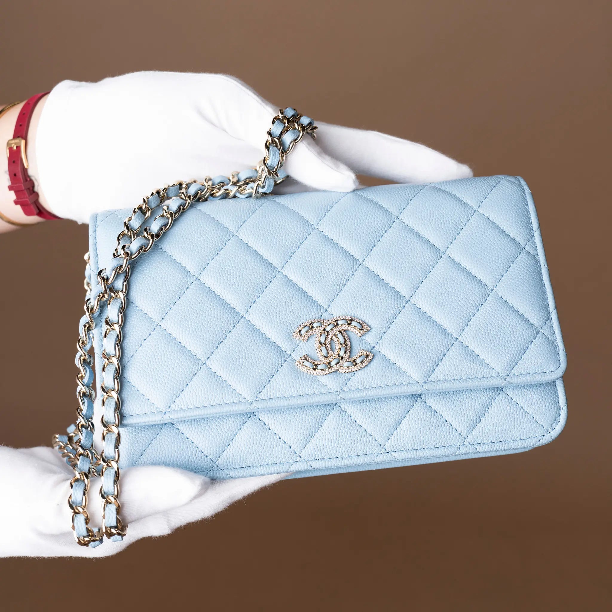 Chanel Quilted Caviar Crystal Enamel CC Wallet On Chain — Back View