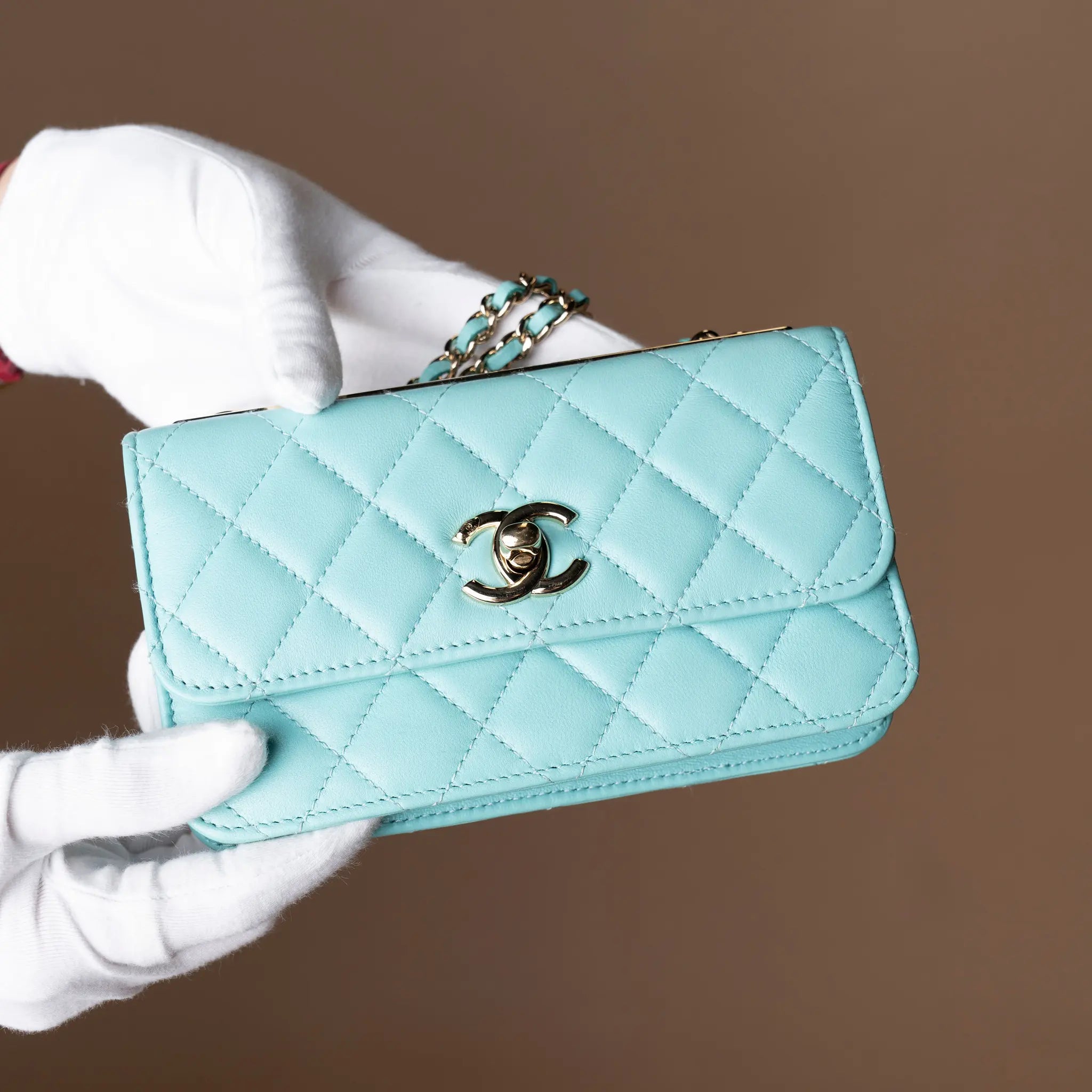 Chanel Quilted Lambskin Trendy CC Wallet On Chain — Side Profile