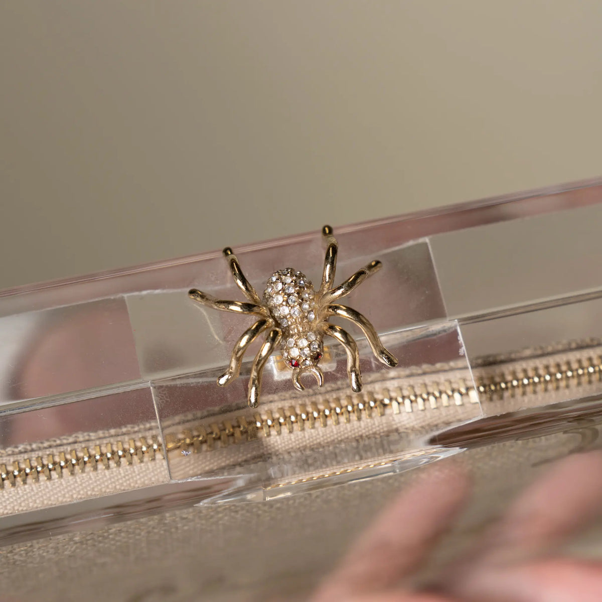Charlotte Olympia Pandora Spider Perspex Clutch - Designer Signed — Detail View