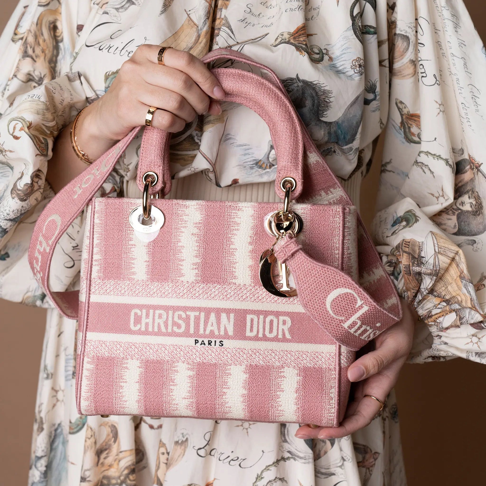 Dior Medium Embroidered Canvas D Stripes Lady D Lite