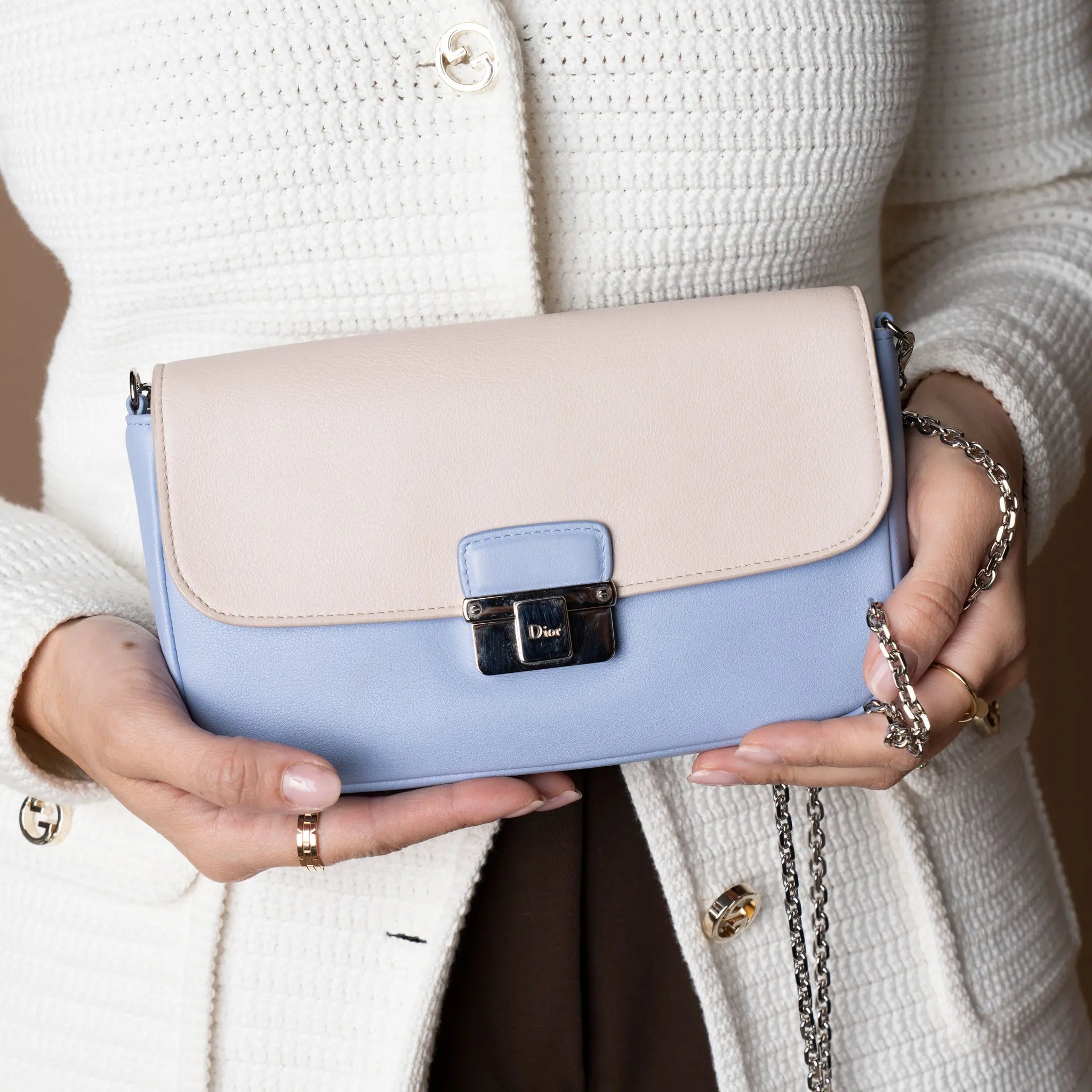 Dior Promenade WOC — Back View