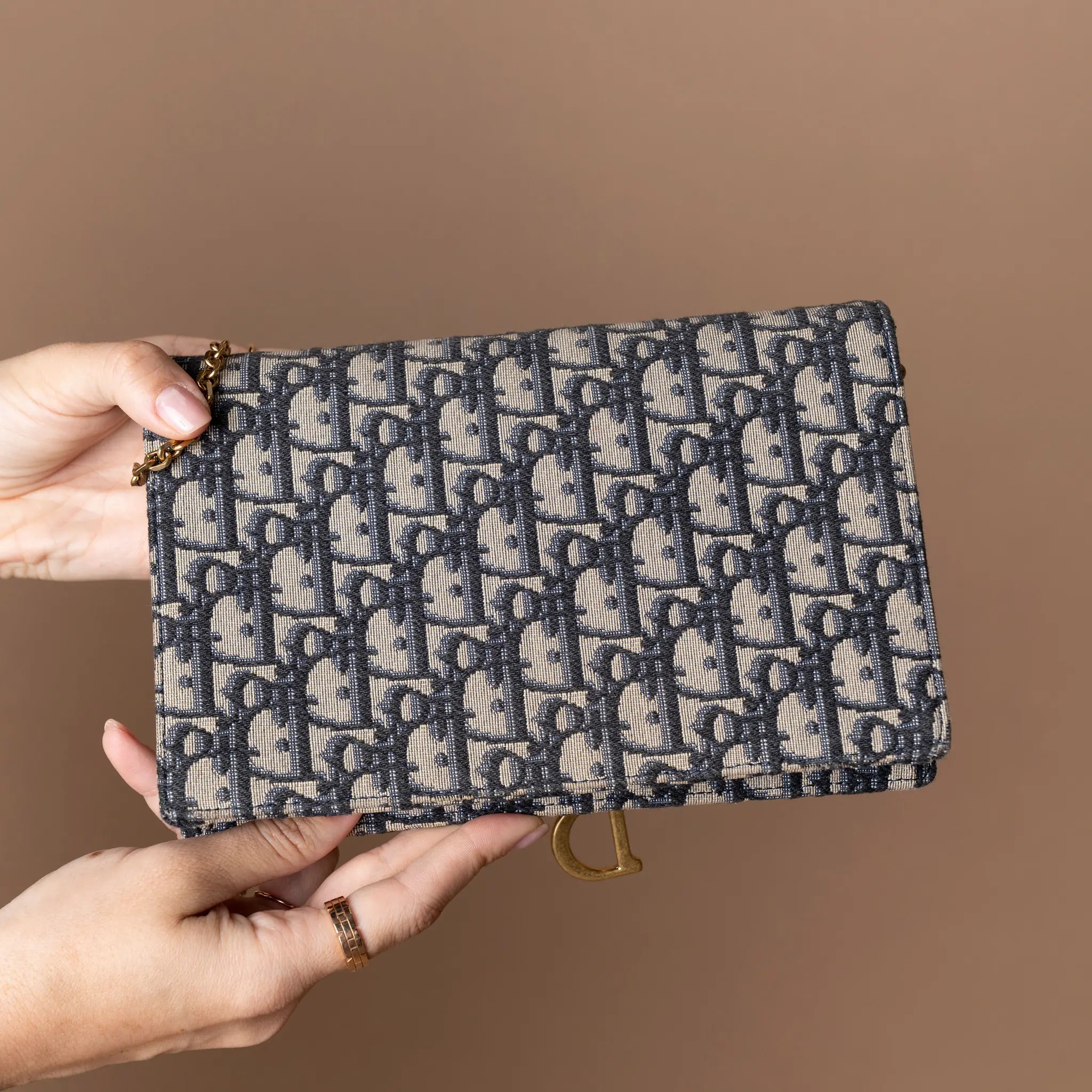 Dior Saddle Pouch With Chain — Back View