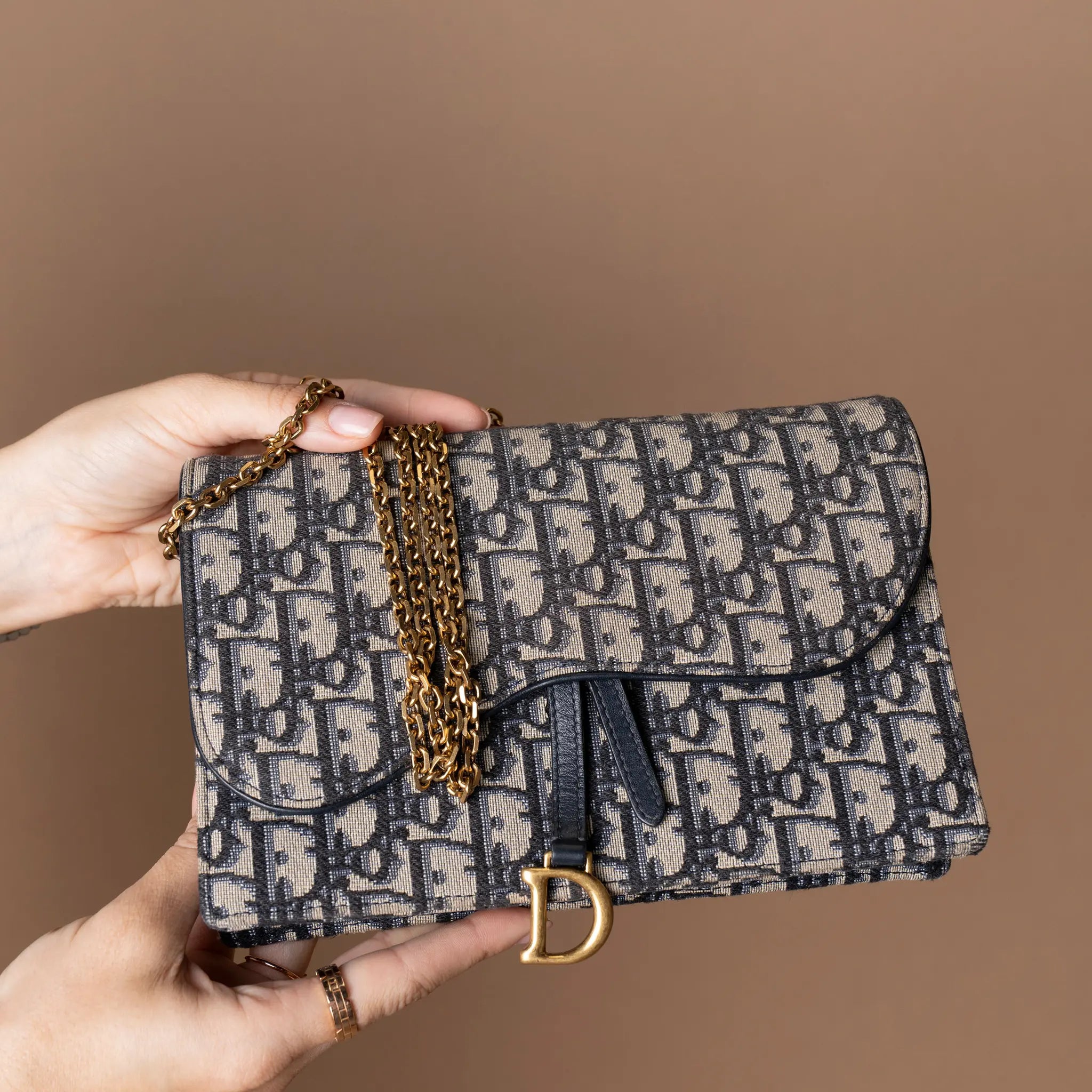 Dior Saddle Pouch With Chain — Interior Detail