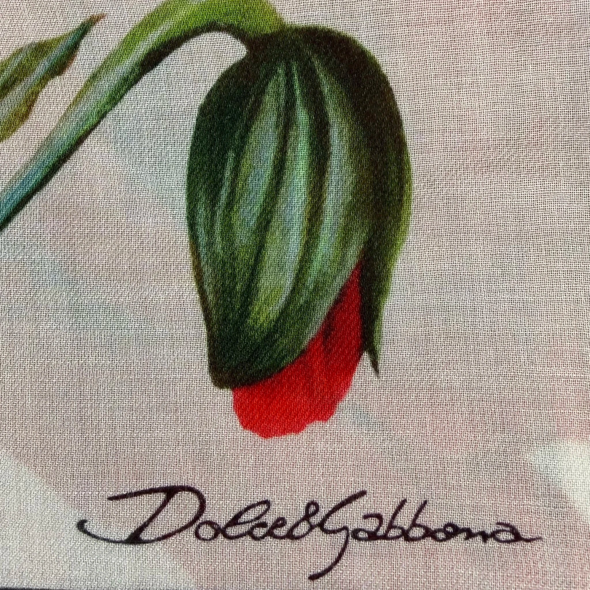 Dolce & Gabbana Large Floral Print Scarf