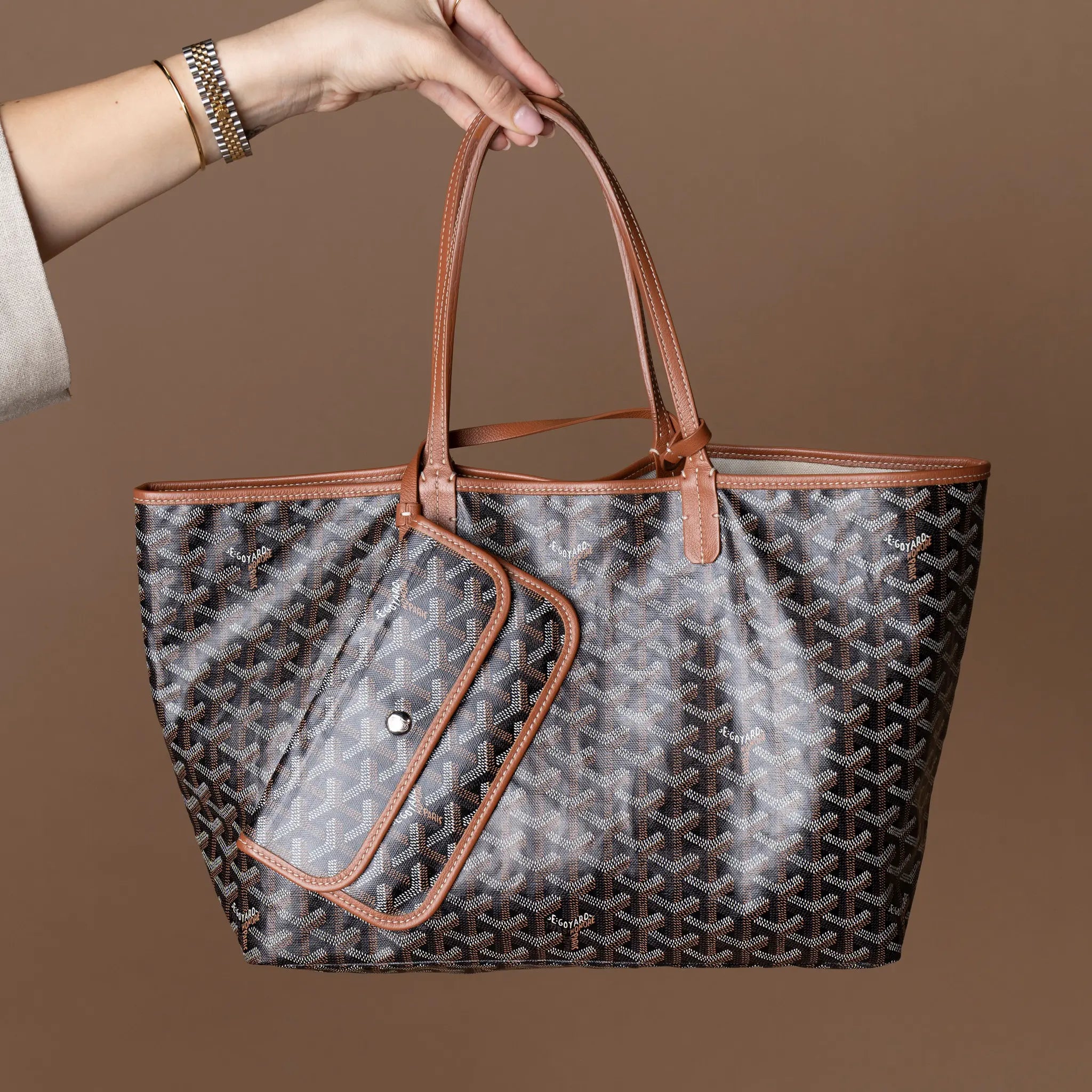Goyard Goyardine Saint Louis PM — Front View