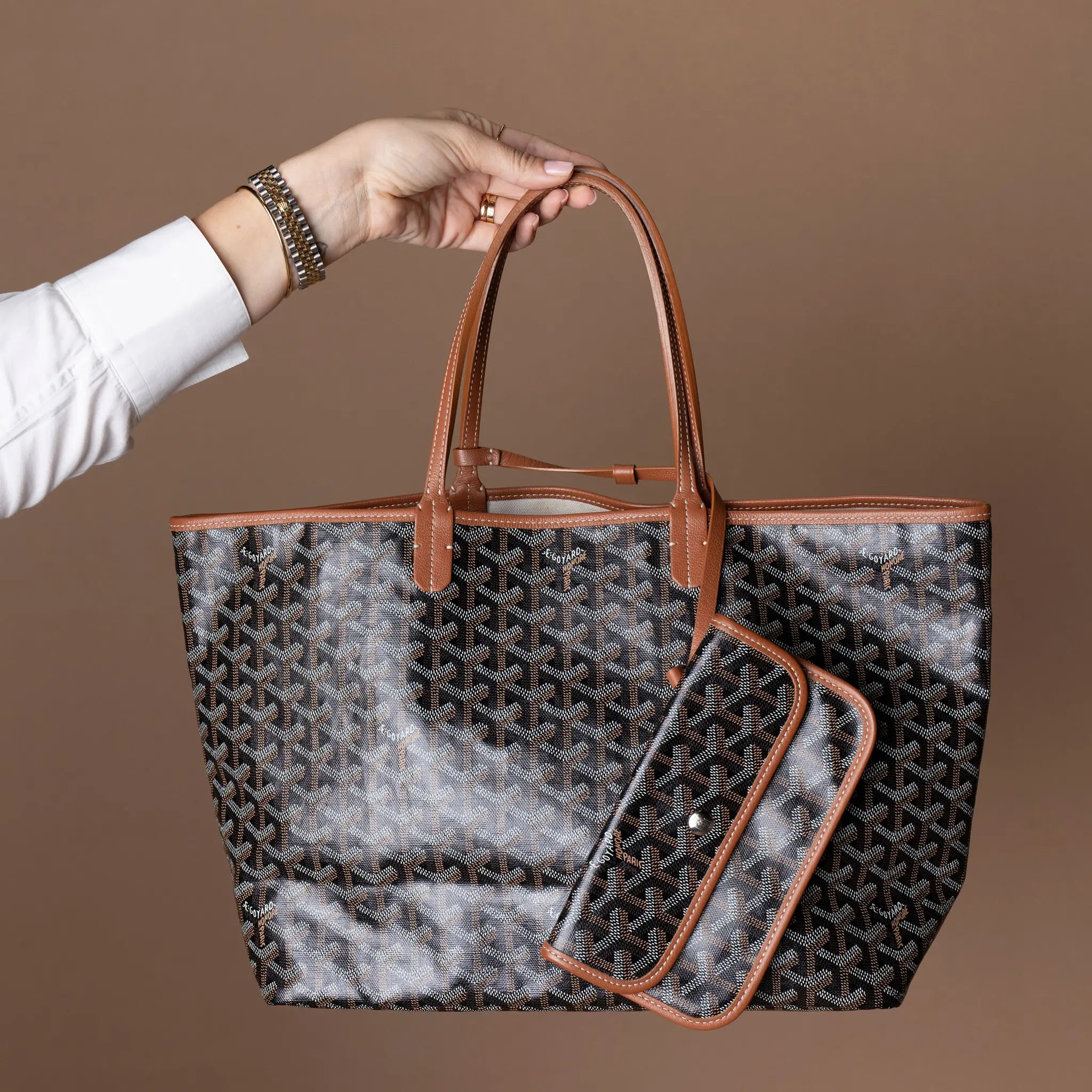 Goyard Goyardine Saint Louis PM — Featured Image