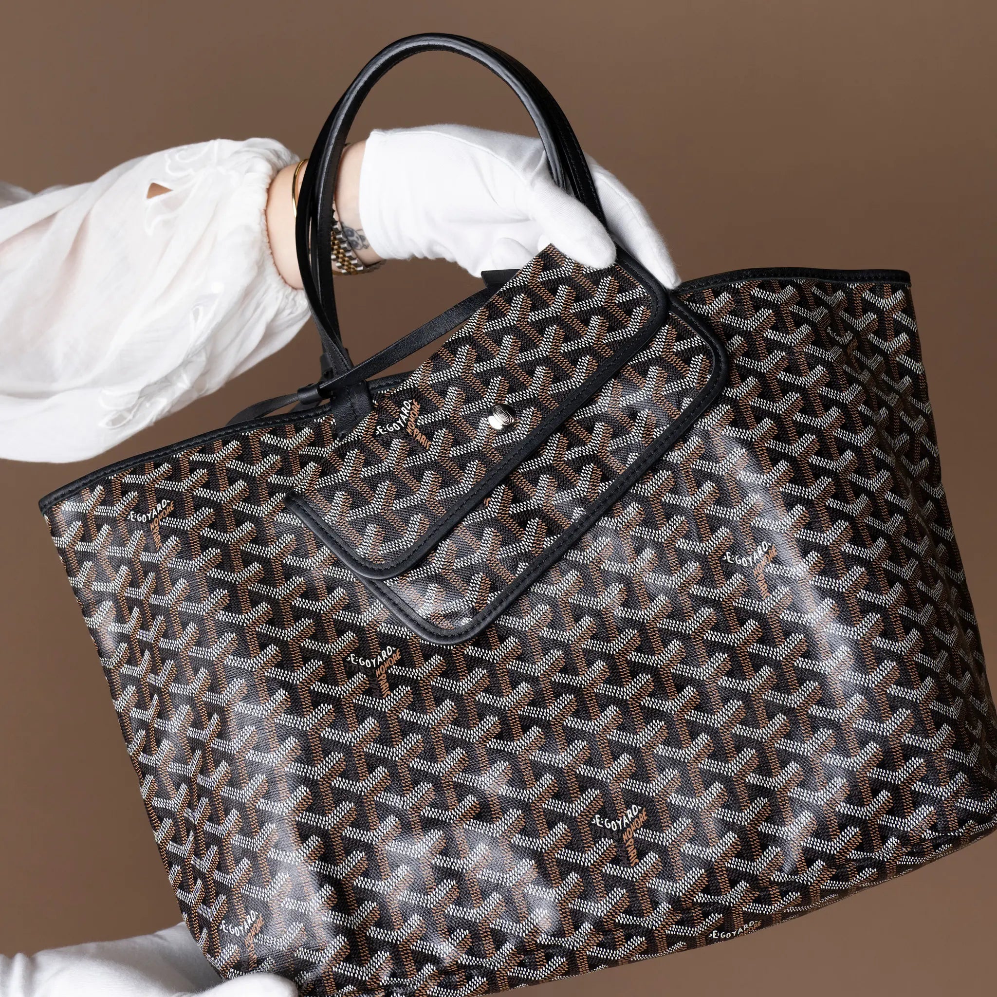 Goyard Goyardine Saint Louis PM — Front View