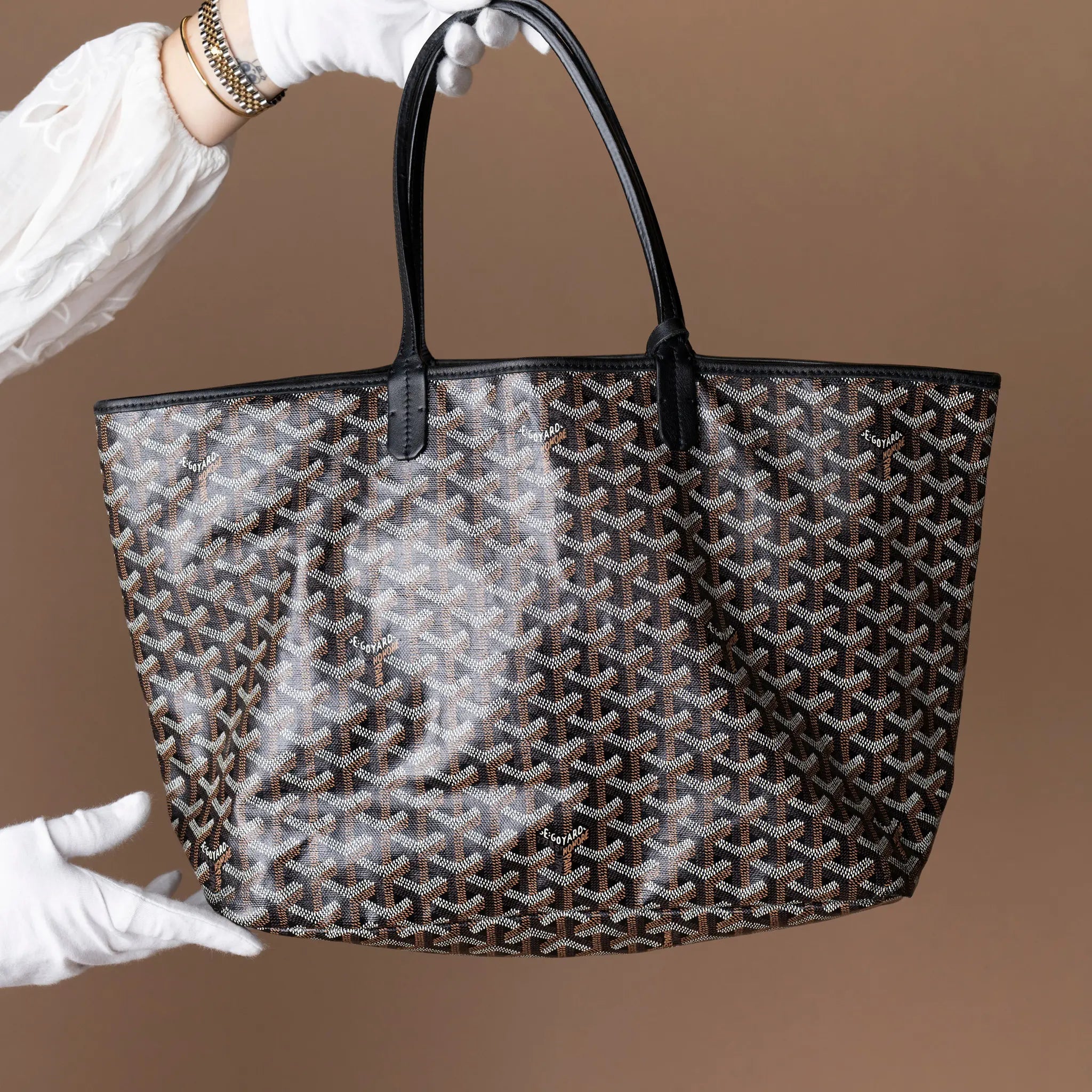 Goyard Goyardine Saint Louis PM — Back View