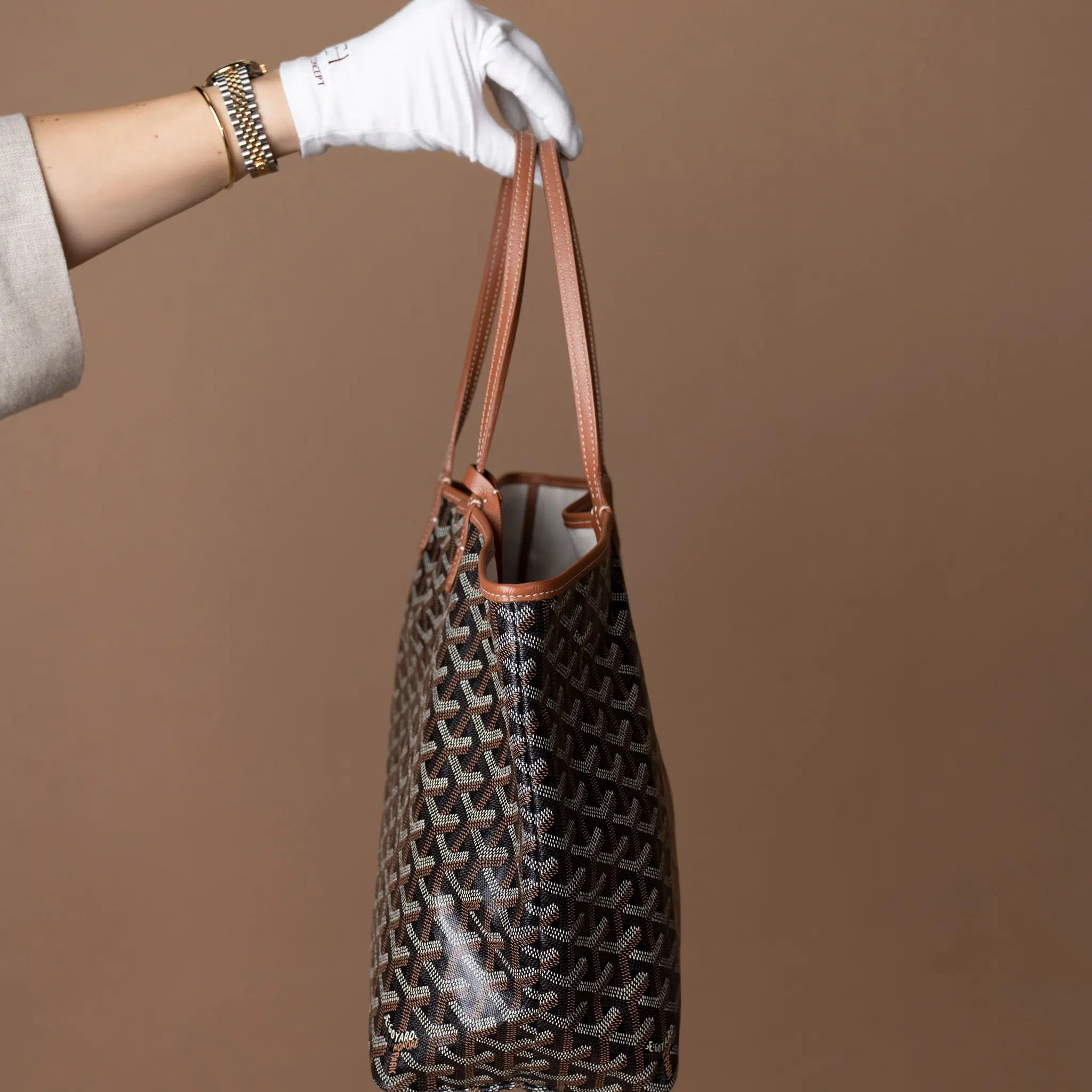 Goyard Goyardine Saint Louis PM — Back View