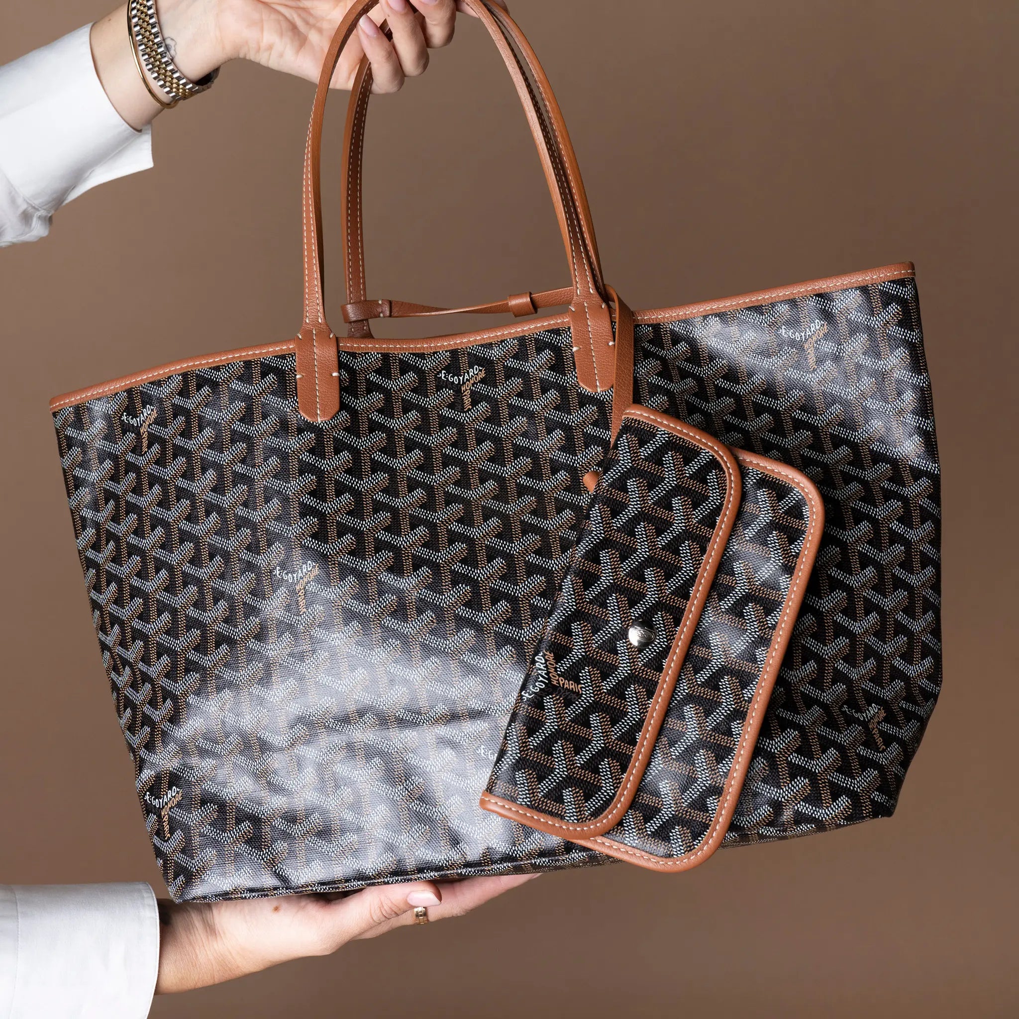 Goyard Goyardine Saint Louis PM — Back View