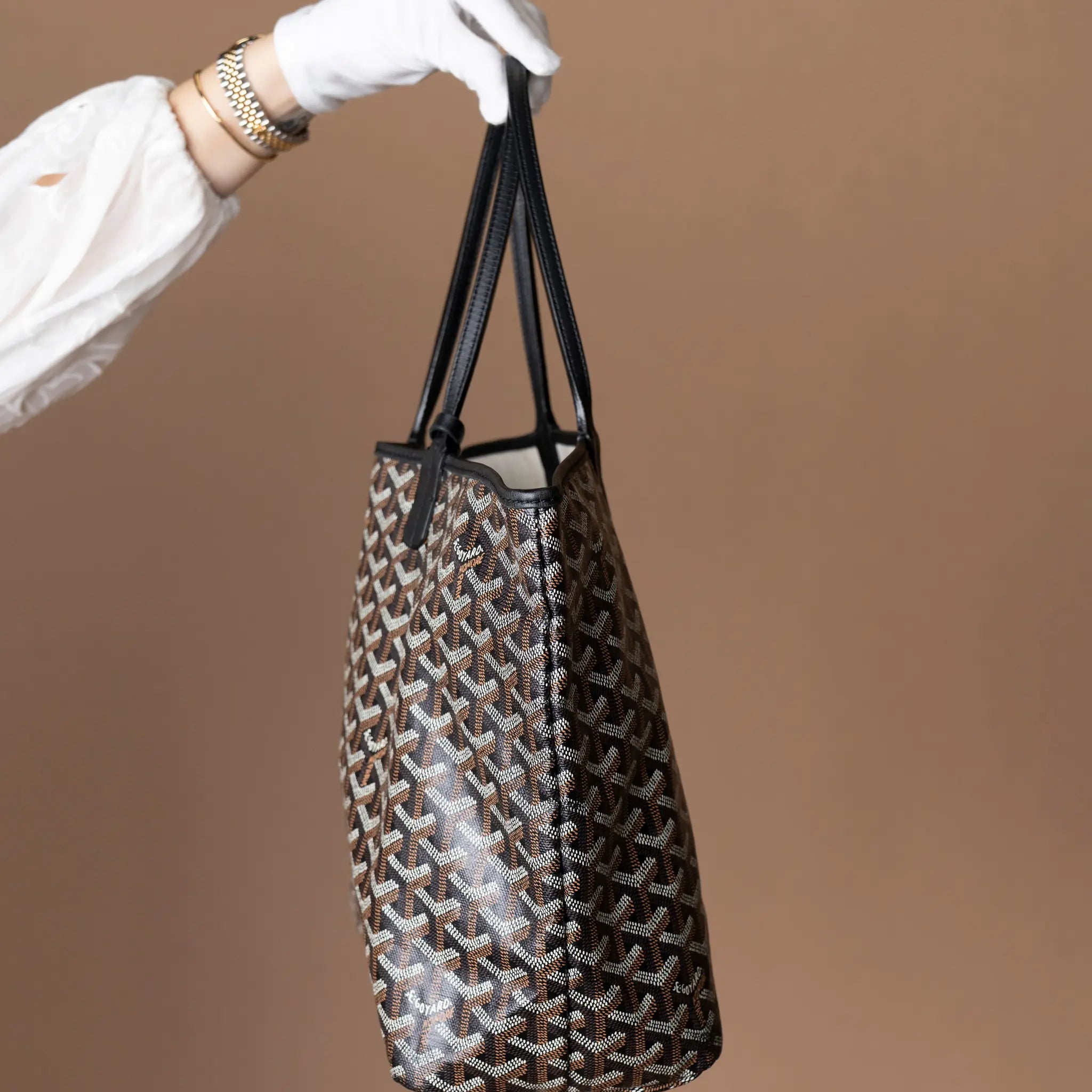 Goyard Goyardine Saint Louis PM — Detail View
