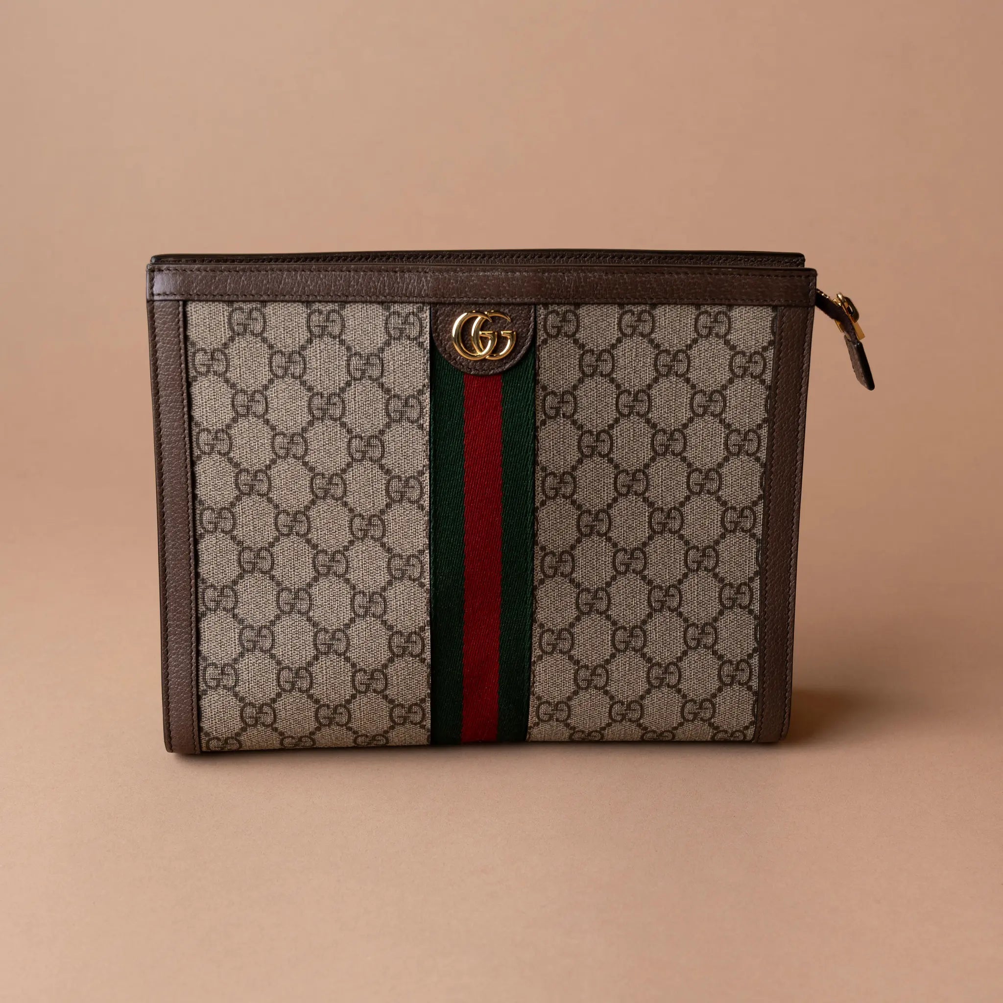 Gucci Ophidia Pouch