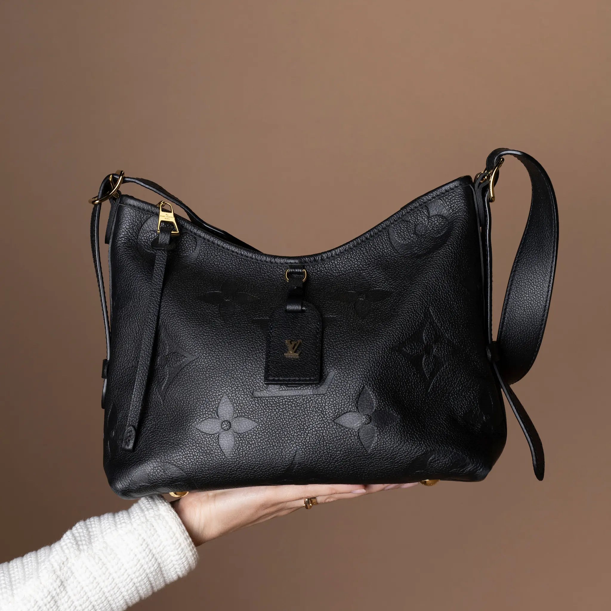 Louis Vuitton Carry All PM — Front View