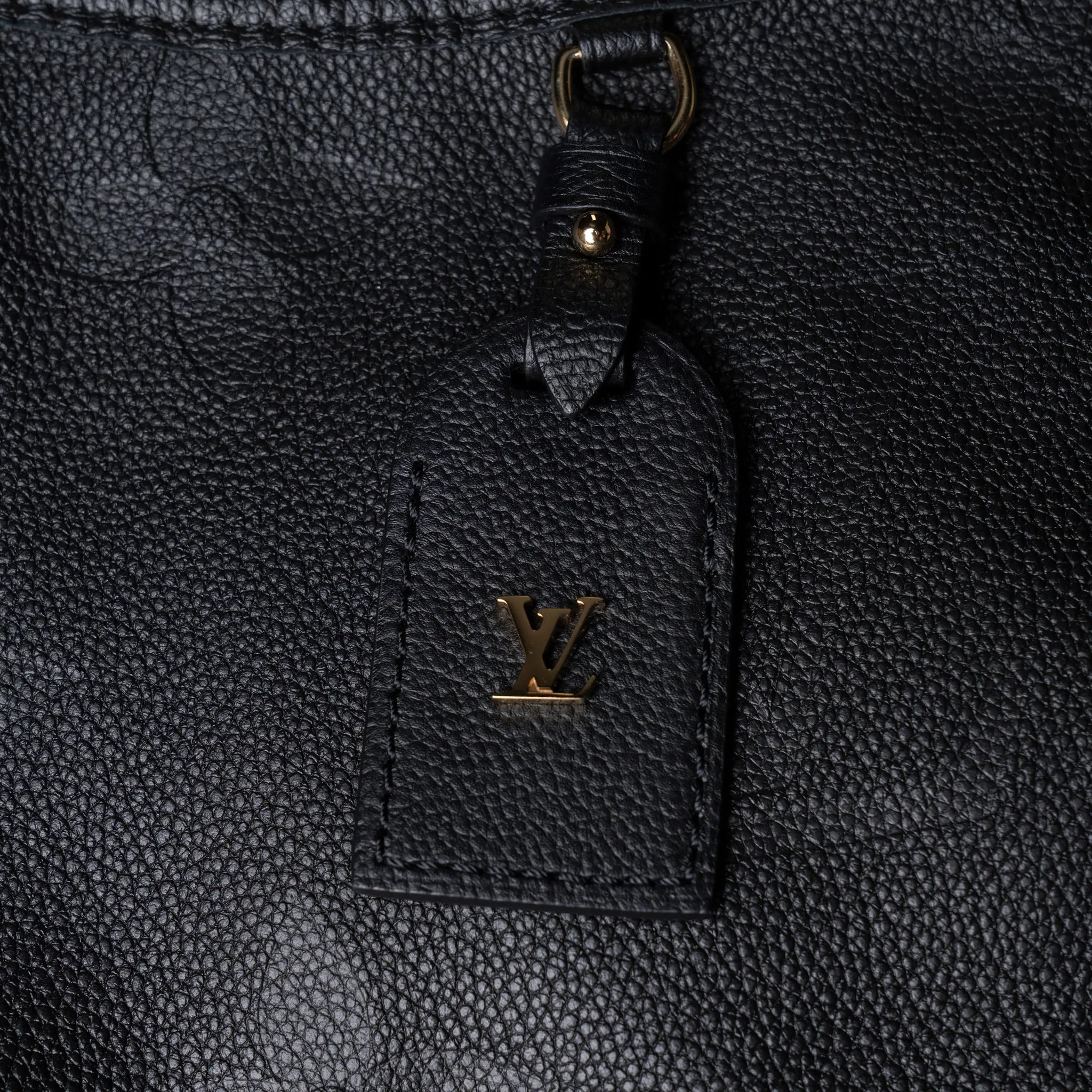 Louis Vuitton Cary All MM — Additional View