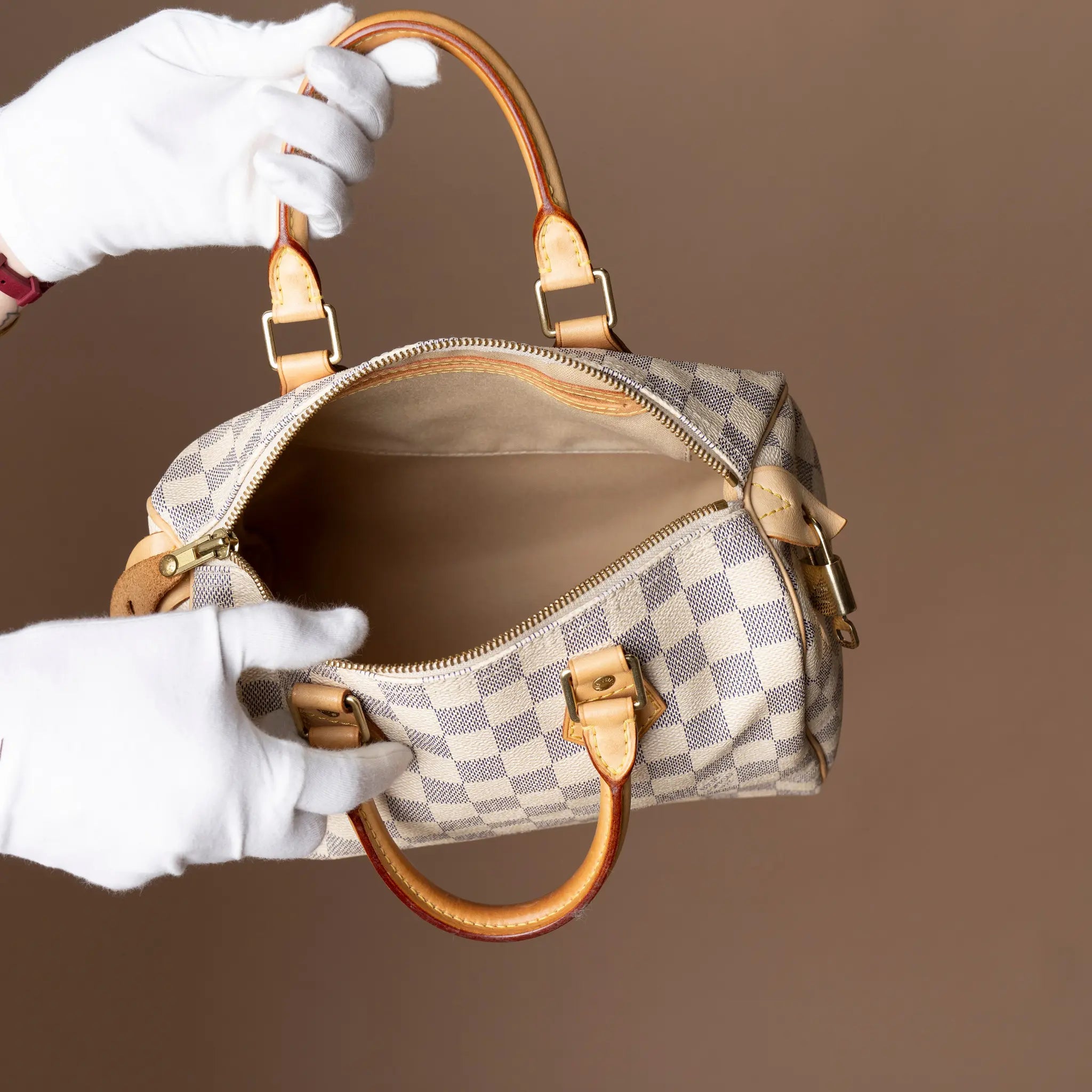 Louis Vuitton Damier Azur Speedy 25 — Close-up Detail