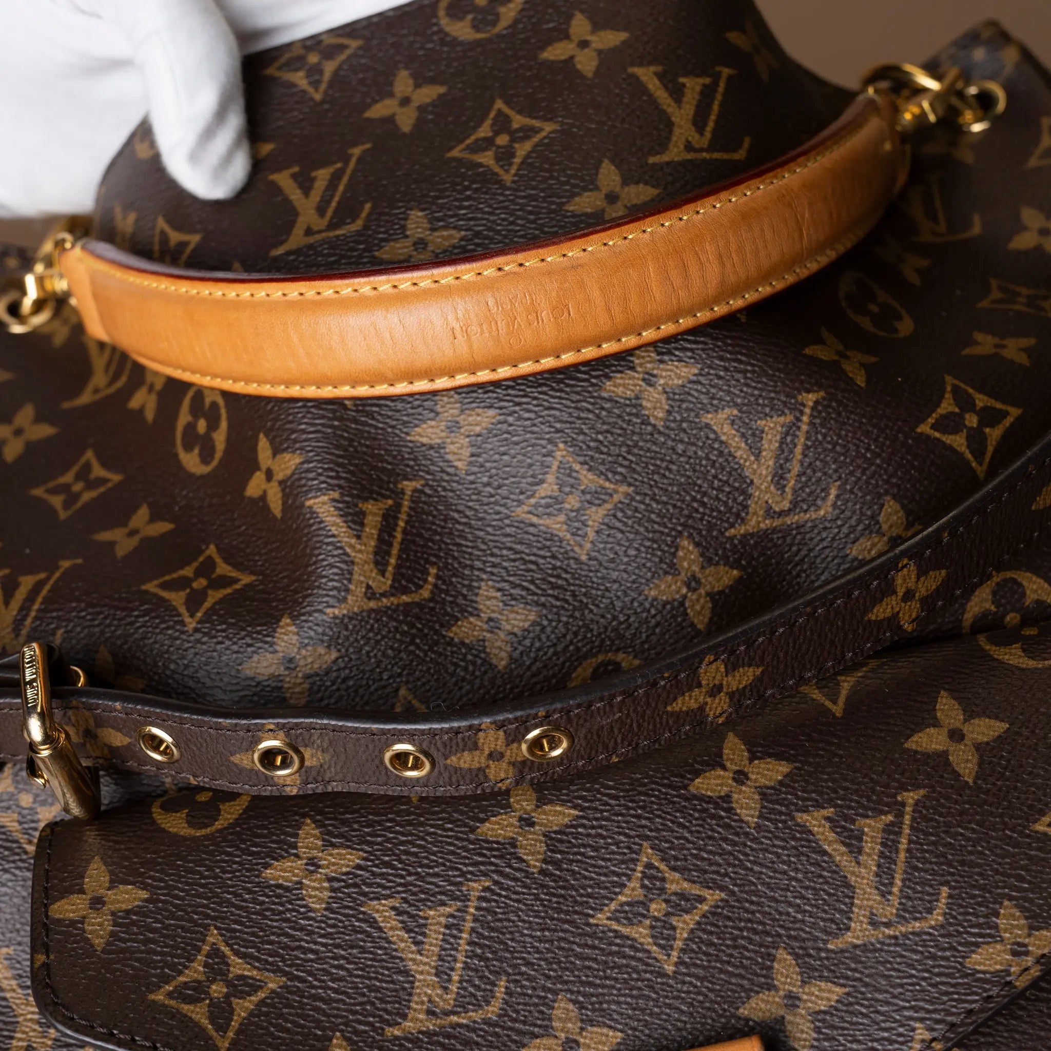 Louis Vuitton Metis Hobo Bag — Side Profile