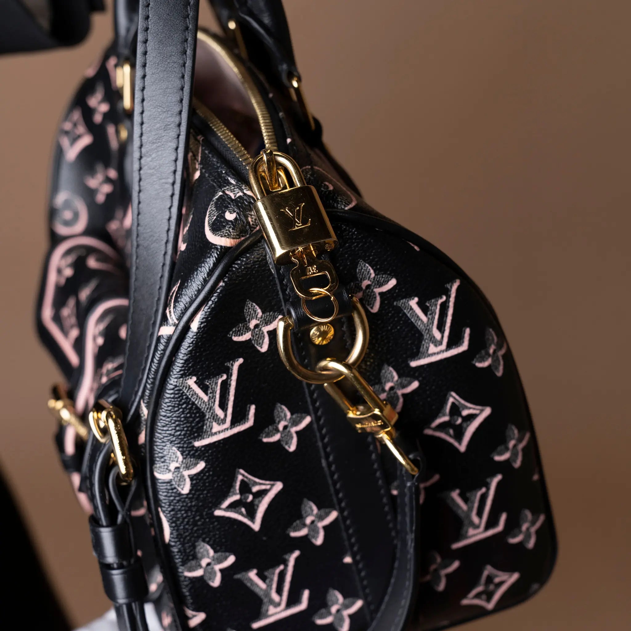 Louis Vuitton Monogram Fall for You Speedy Bandouliere 25 — Front View