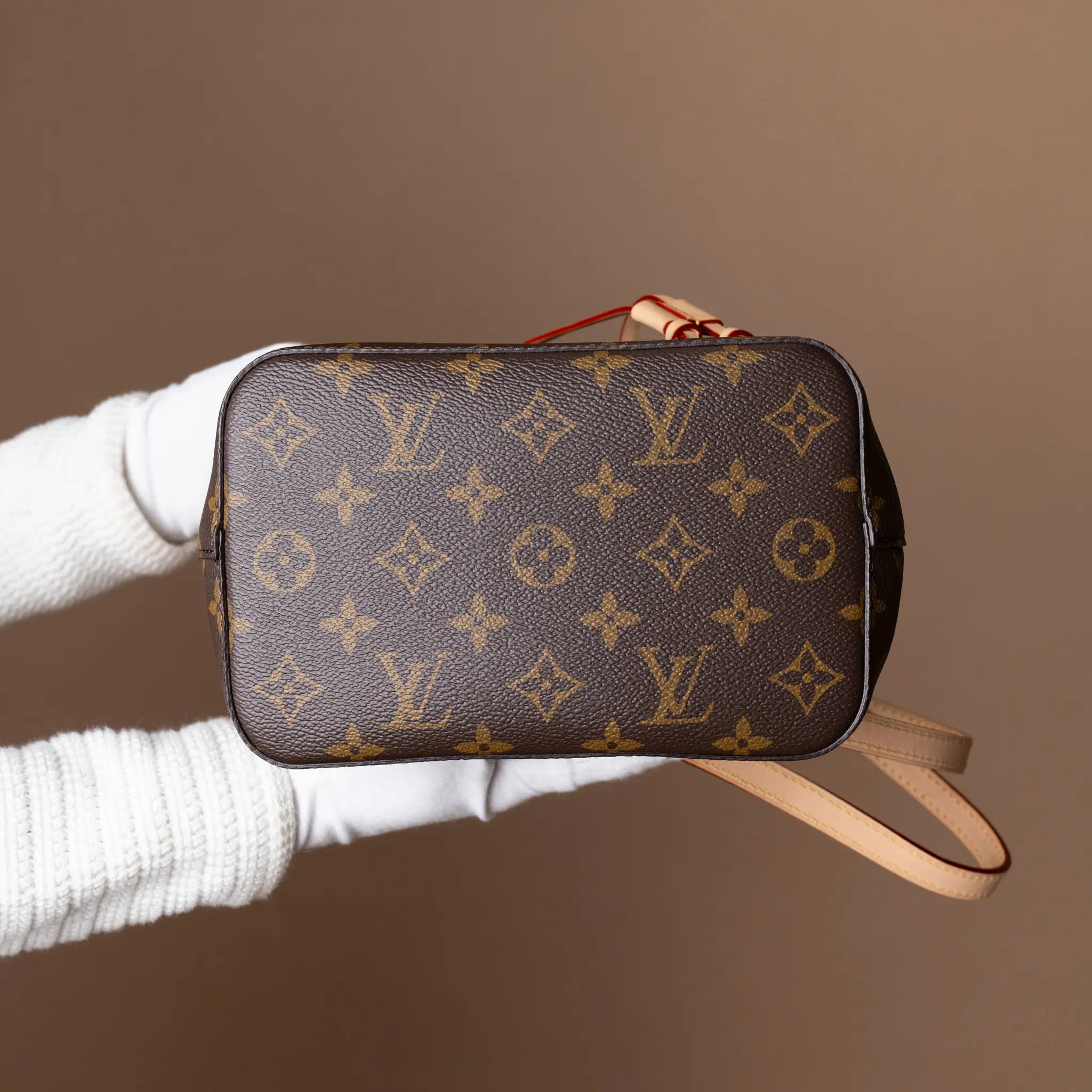 Louis Vuitton Monogram NéoNoé BB — Back View
