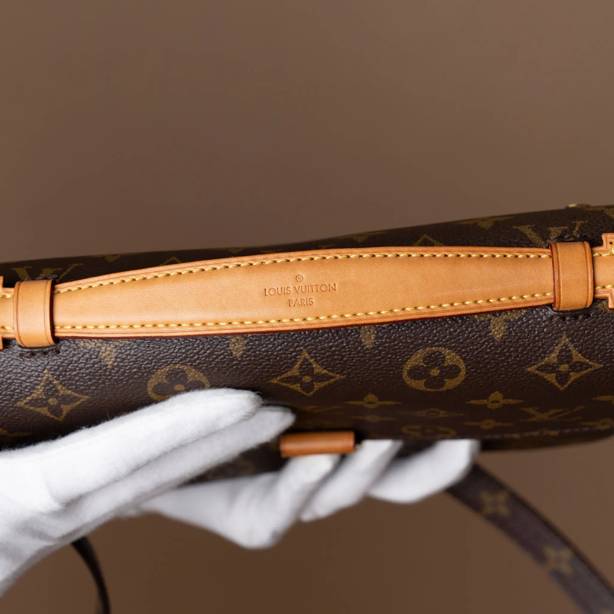 Louis Vuitton Monogram Pochette Metis — Side Profile