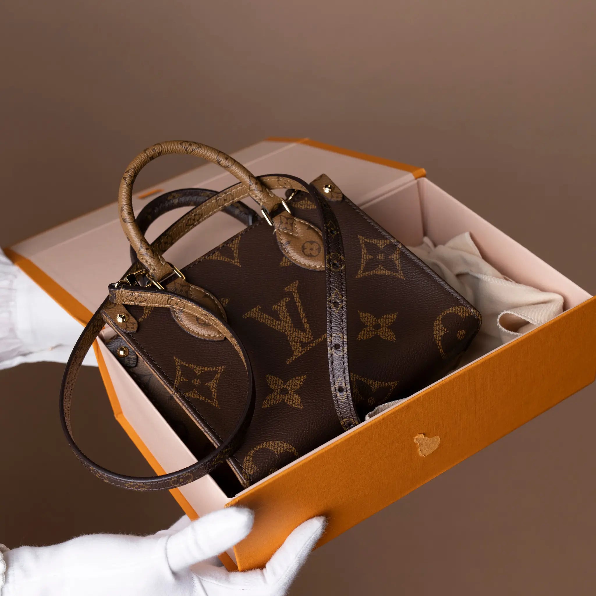 Louis Vuitton Monogram Reverse OnTheGo BB — Back View