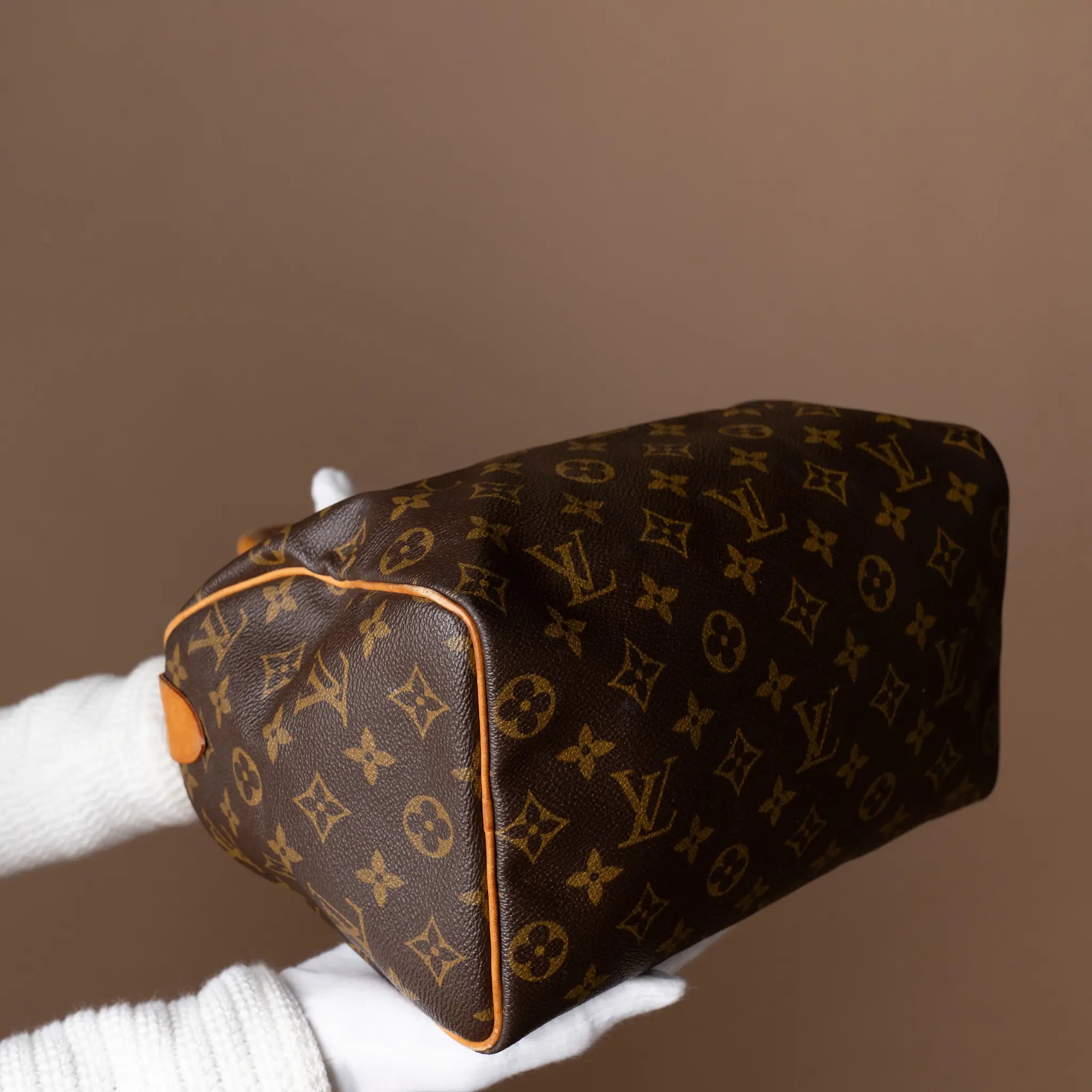 Louis Vuitton Monogram Speedy 25 — Close-up Detail
