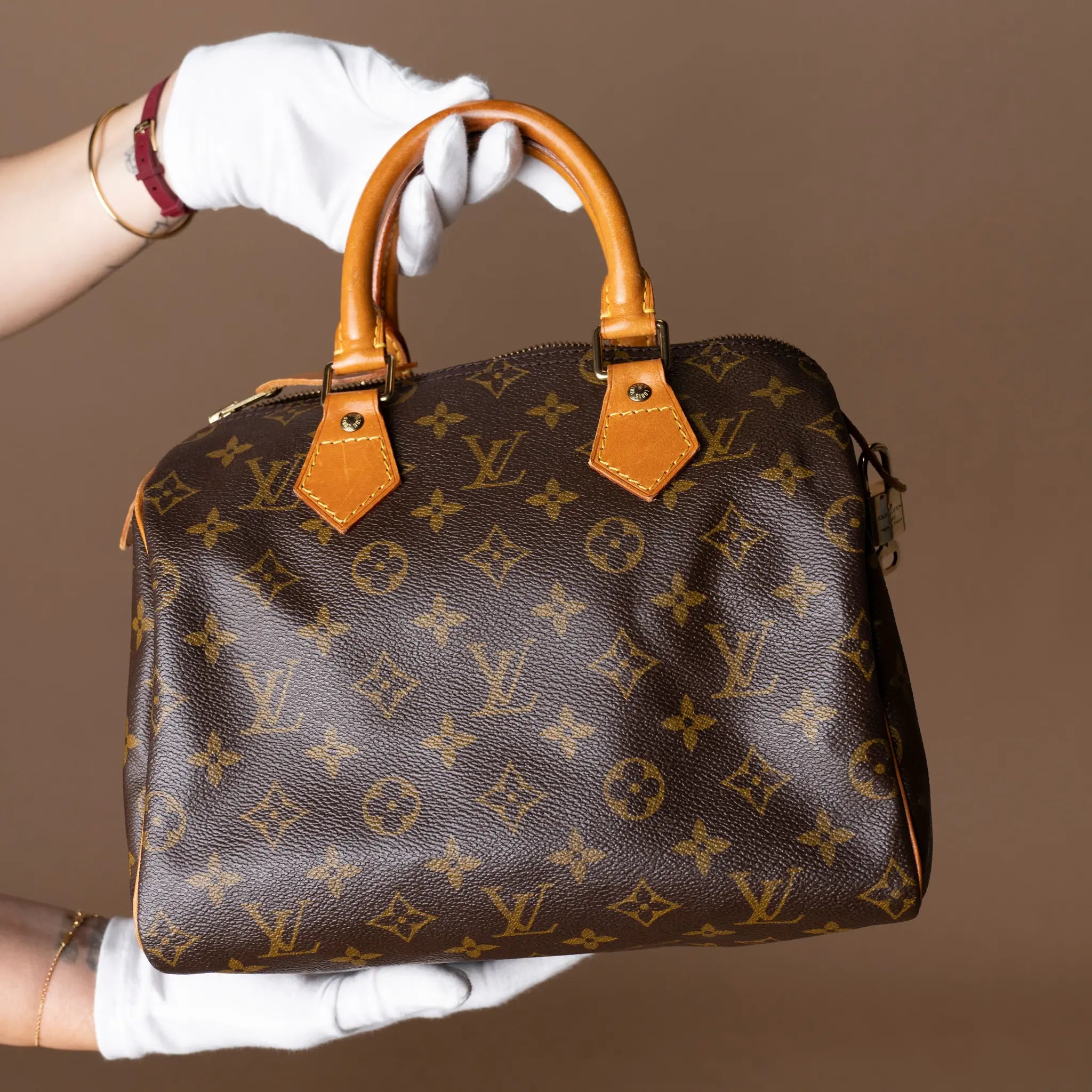 Louis Vuitton Monogram Speedy 25 — Close-up Detail