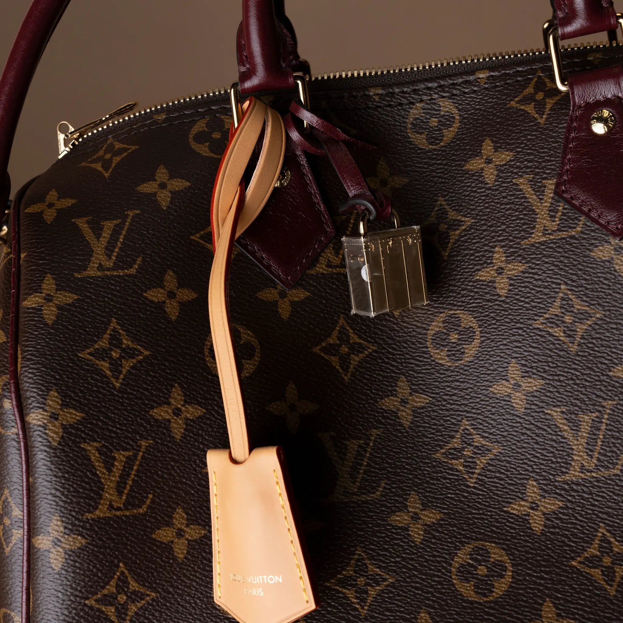 Louis Vuitton Monogram Speedy 30 Soft Celebration — Detail View